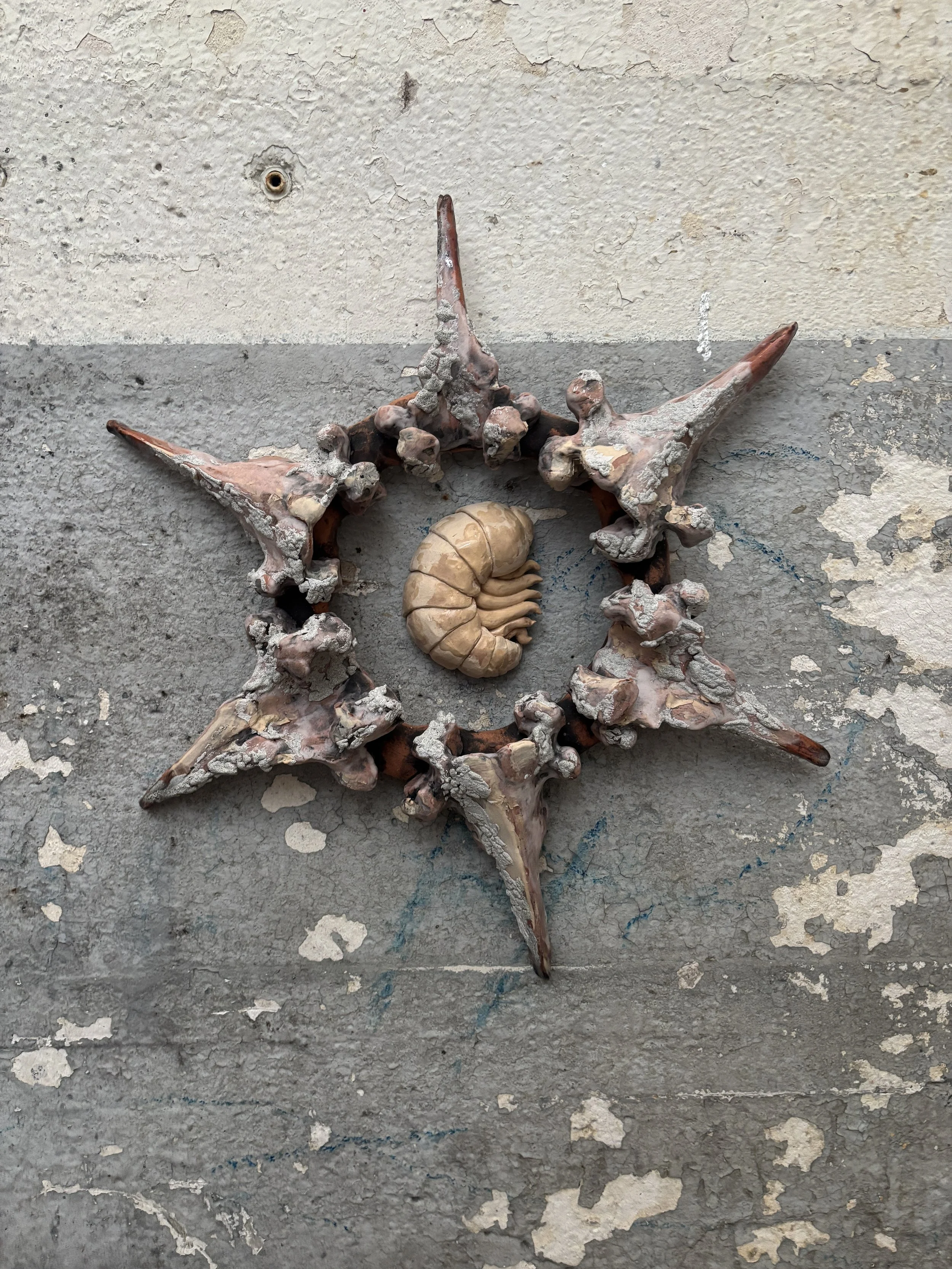 Decomposed Cow Bone Star, ceramic, H23" x W23", 2026