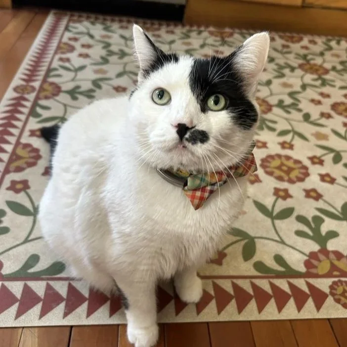 A young woman with shoulder-length black hair smiling in a lush, green indoor setting.