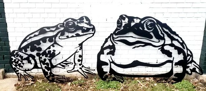frog and toad.jpg