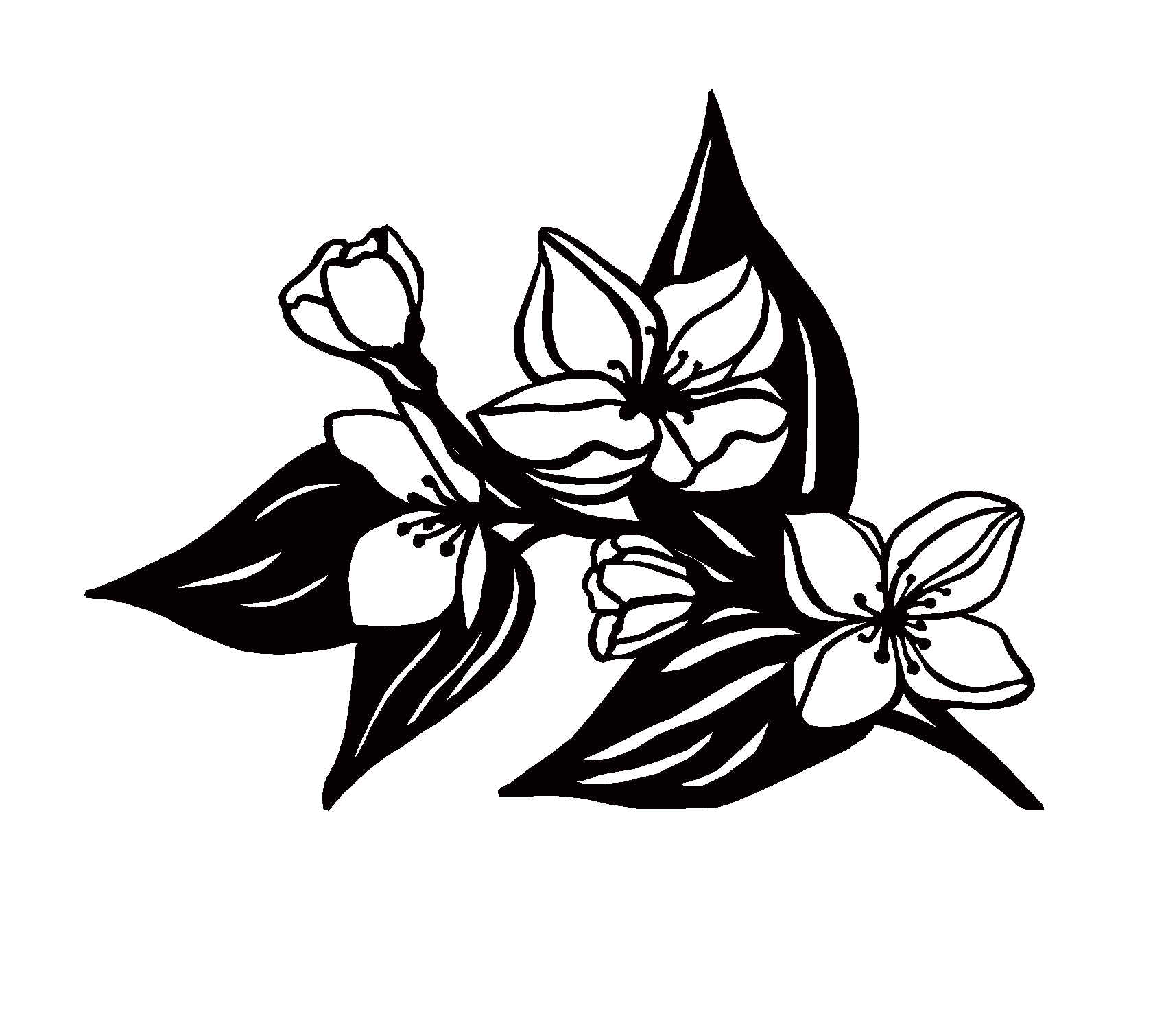 black finished jasmine (1).png