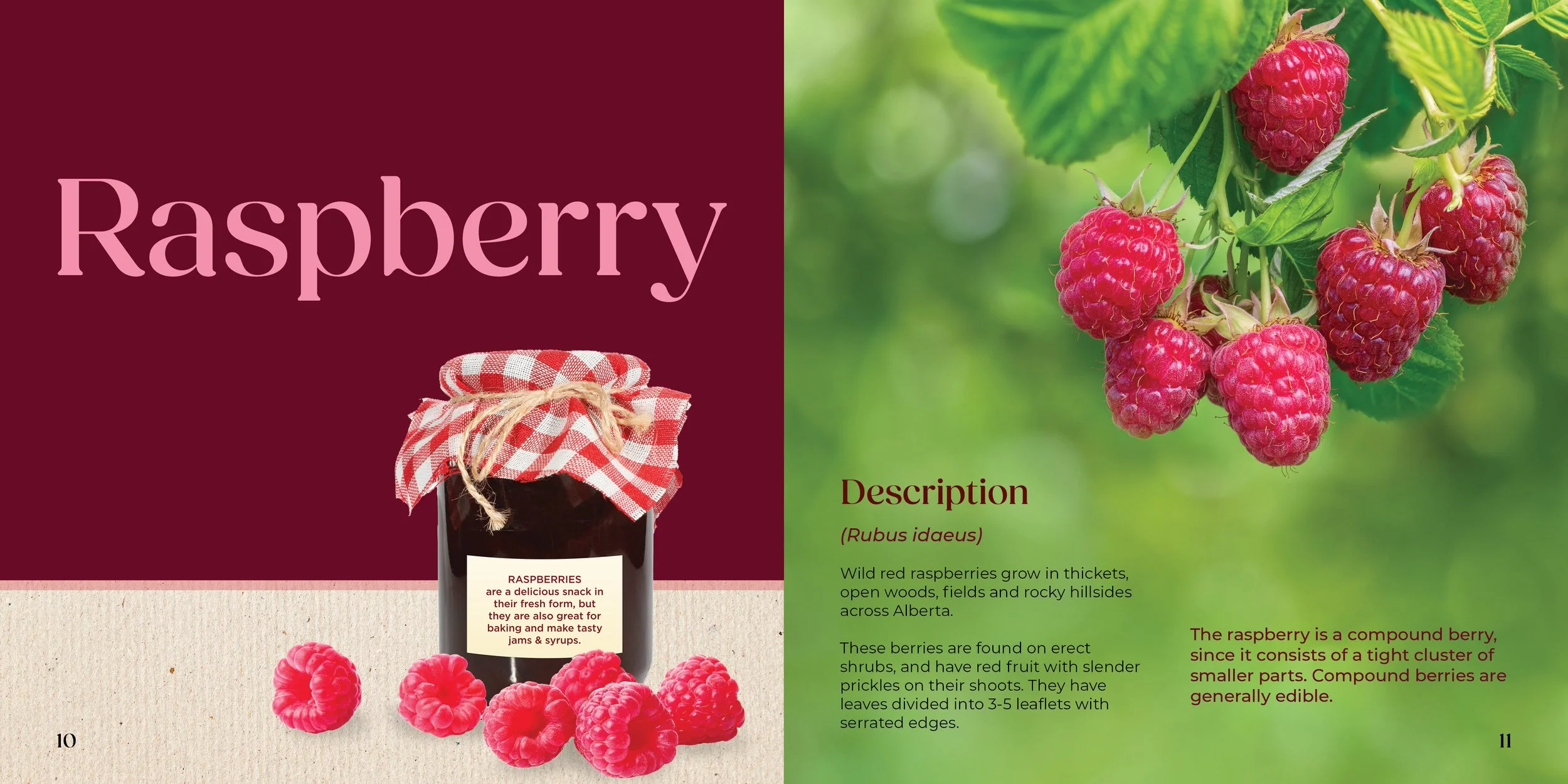 Alberta Berries6.jpg