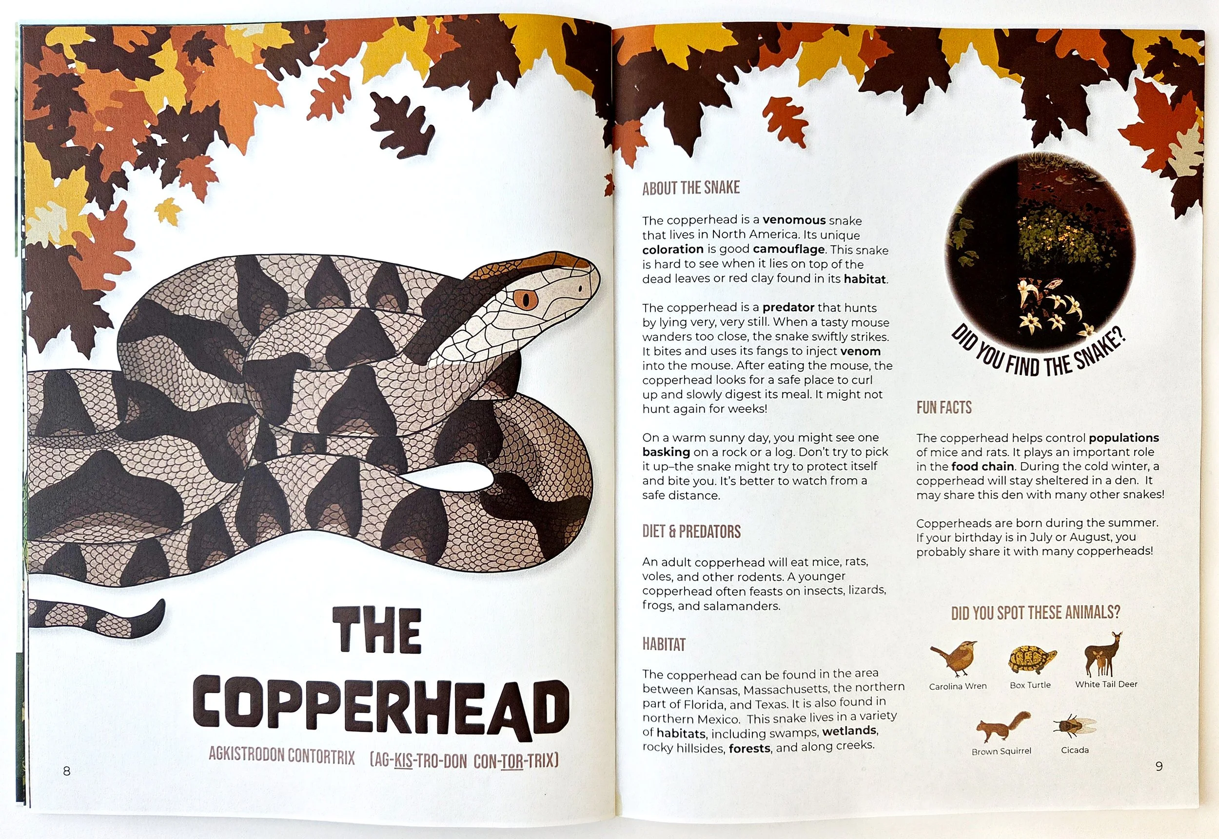 copperheadpage.jpg