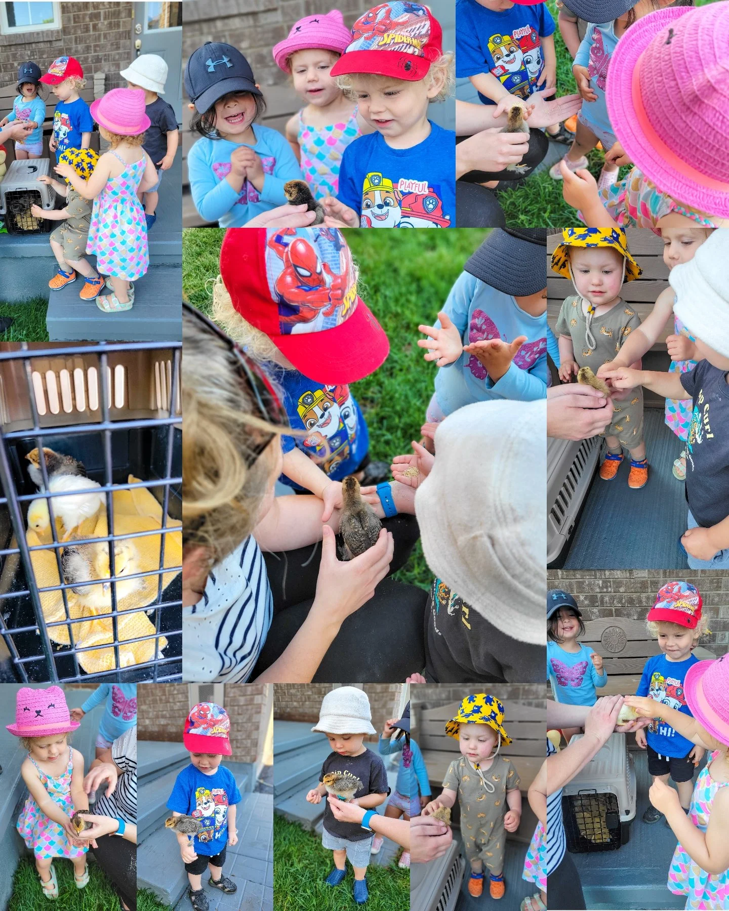 We had a very special visit from some baby chicks 🐣🐤 A big thank you to Ty's Mommy for sharing them with us! 🙏