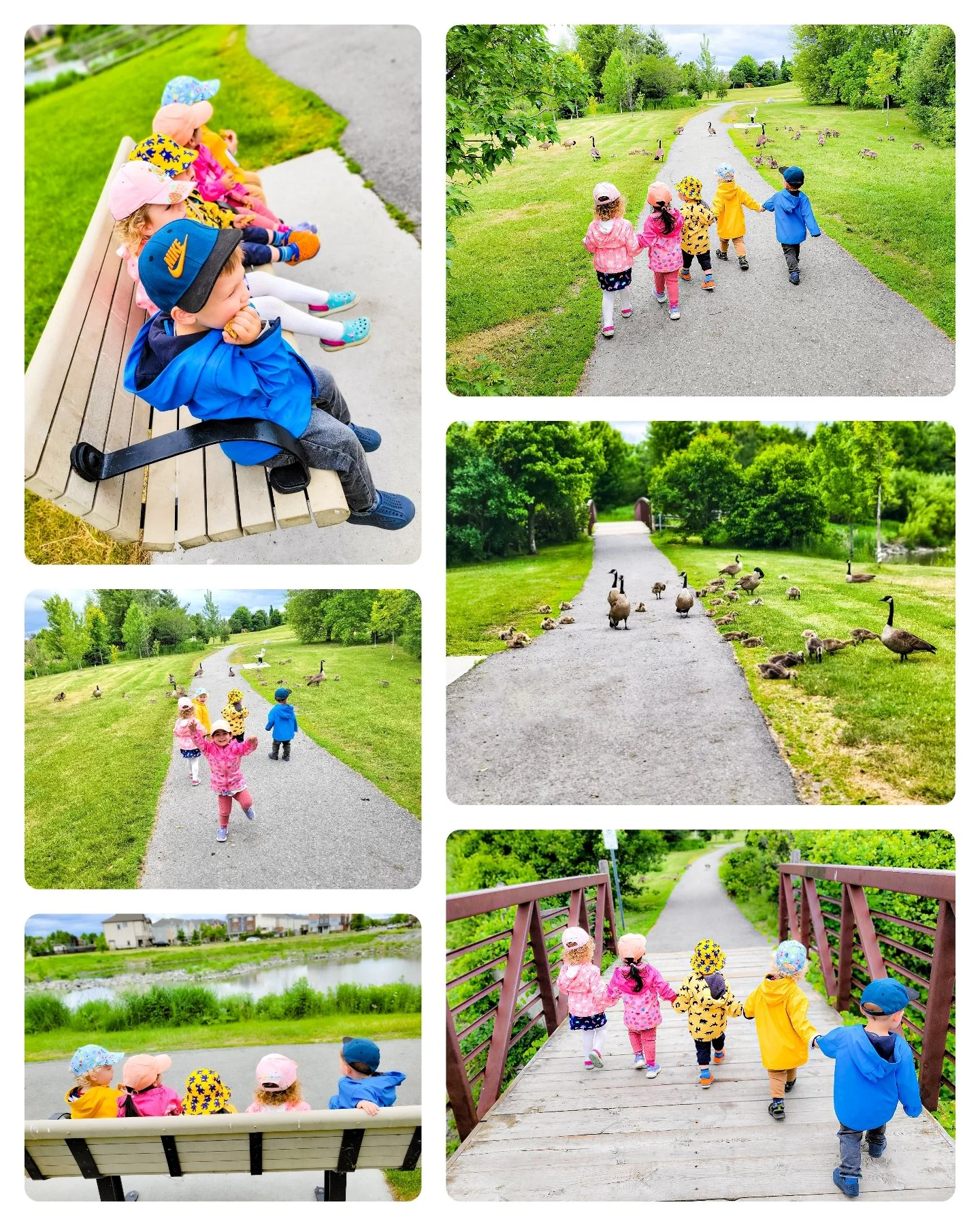 Out exploring nature 🌳🦆