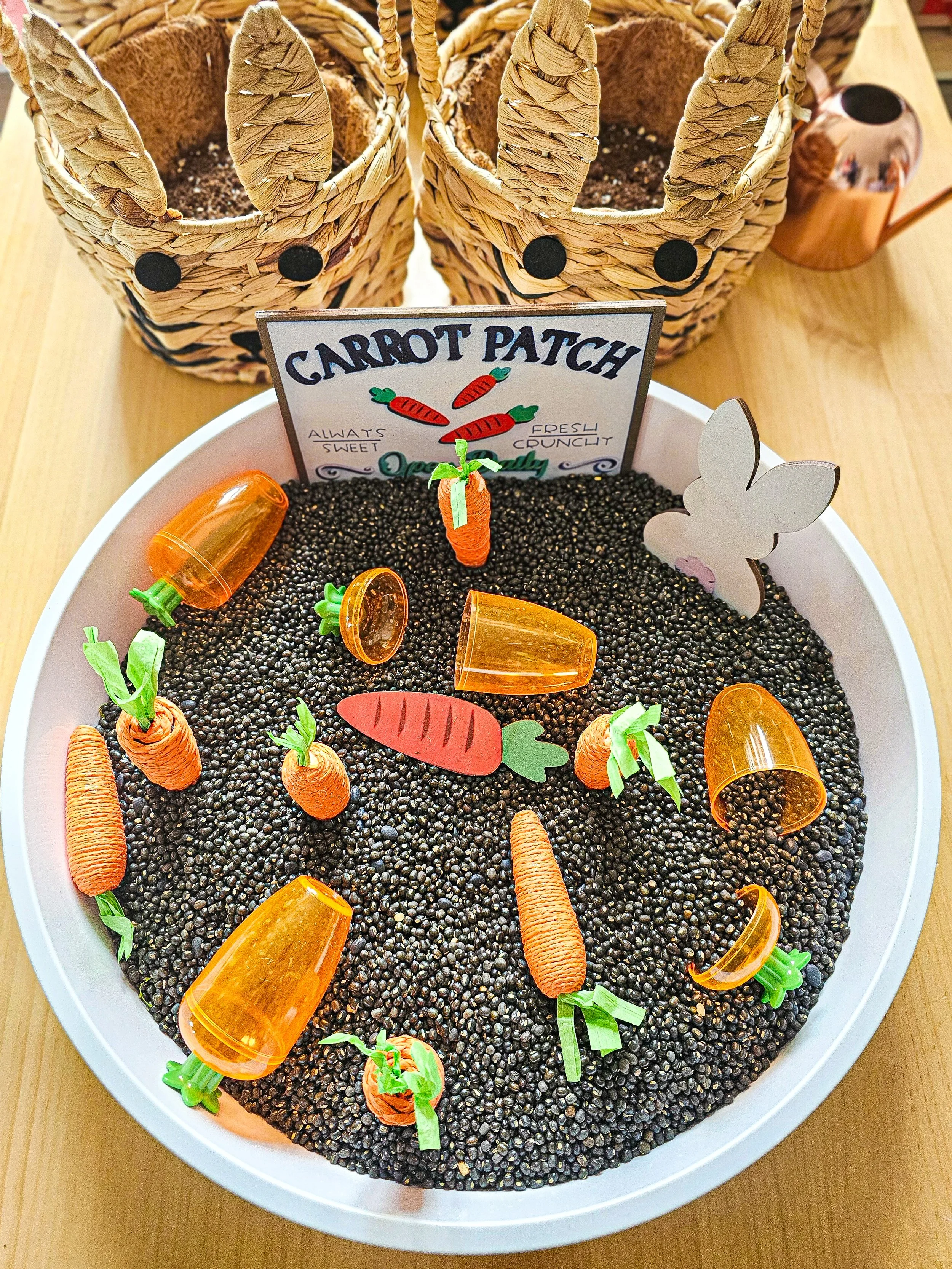 Our carrot 🥕 garden 🐇