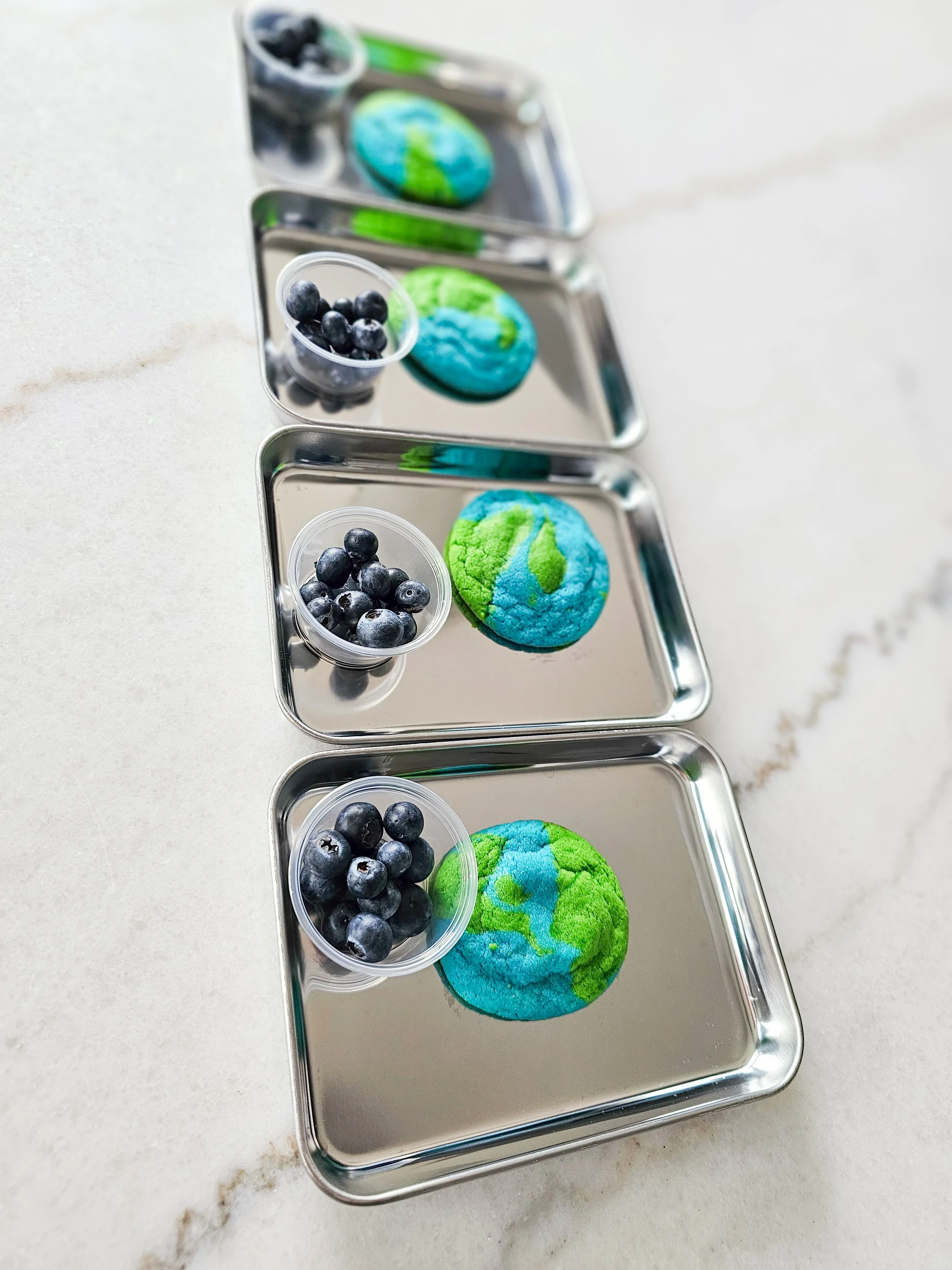 Earth Day snacks! 🌎🫐🍪
