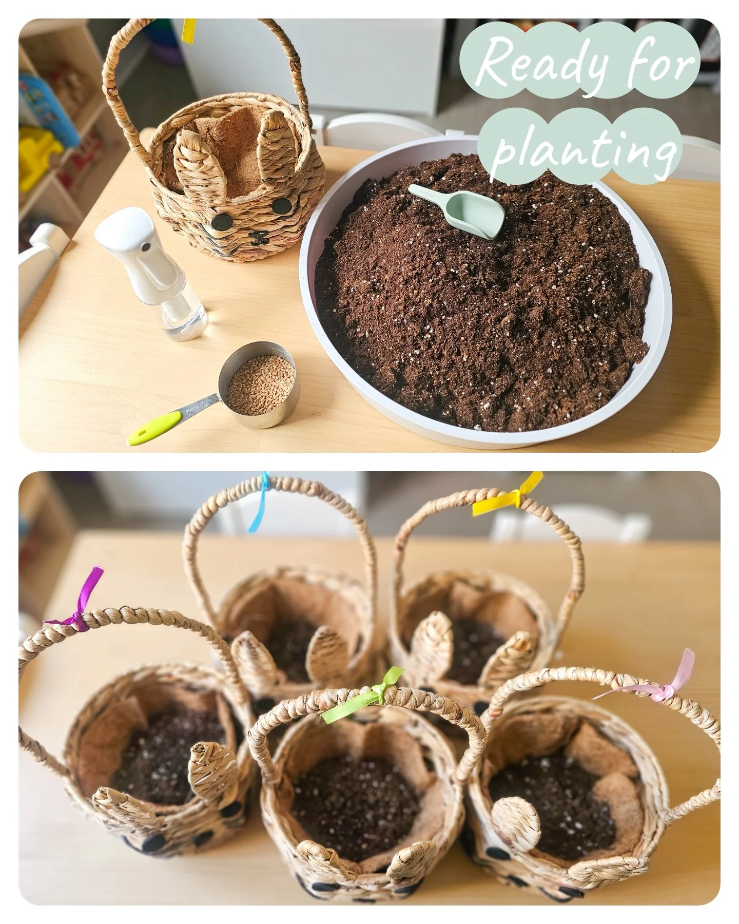 All ready to plant or living Easter baskets 🧺🐰