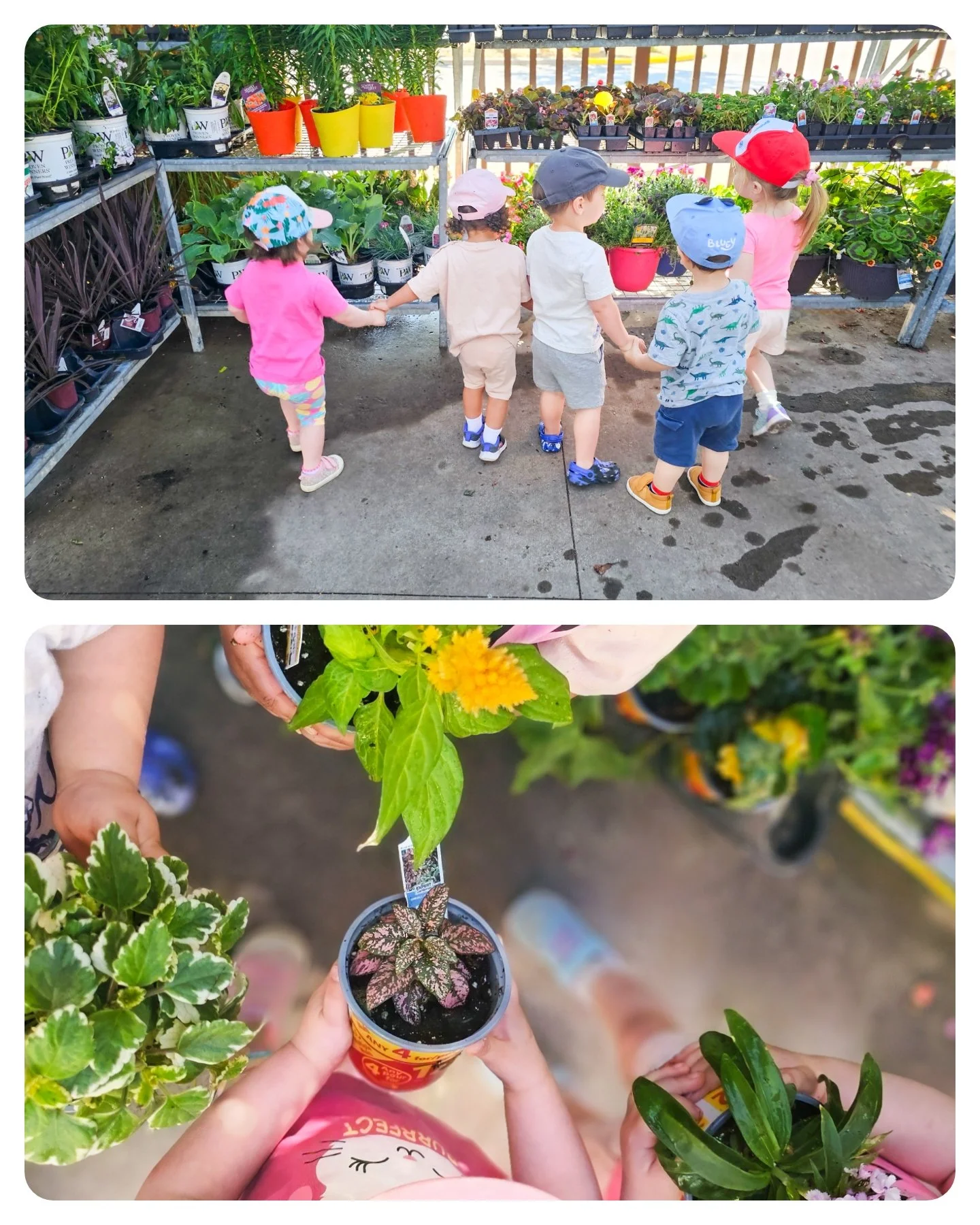 Visiting a local garden center exploring colors 🌈 and textures 👐 of different plants and flowers! 🪴🌷🪻 We chose some to bring back to daycare to plant in our gardening table! 👩🌾😊
