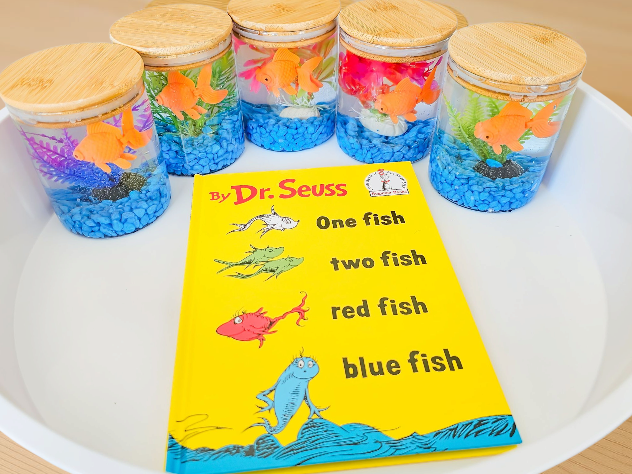 Happy Birthday Dr. Seuss! 📖🐟🎈