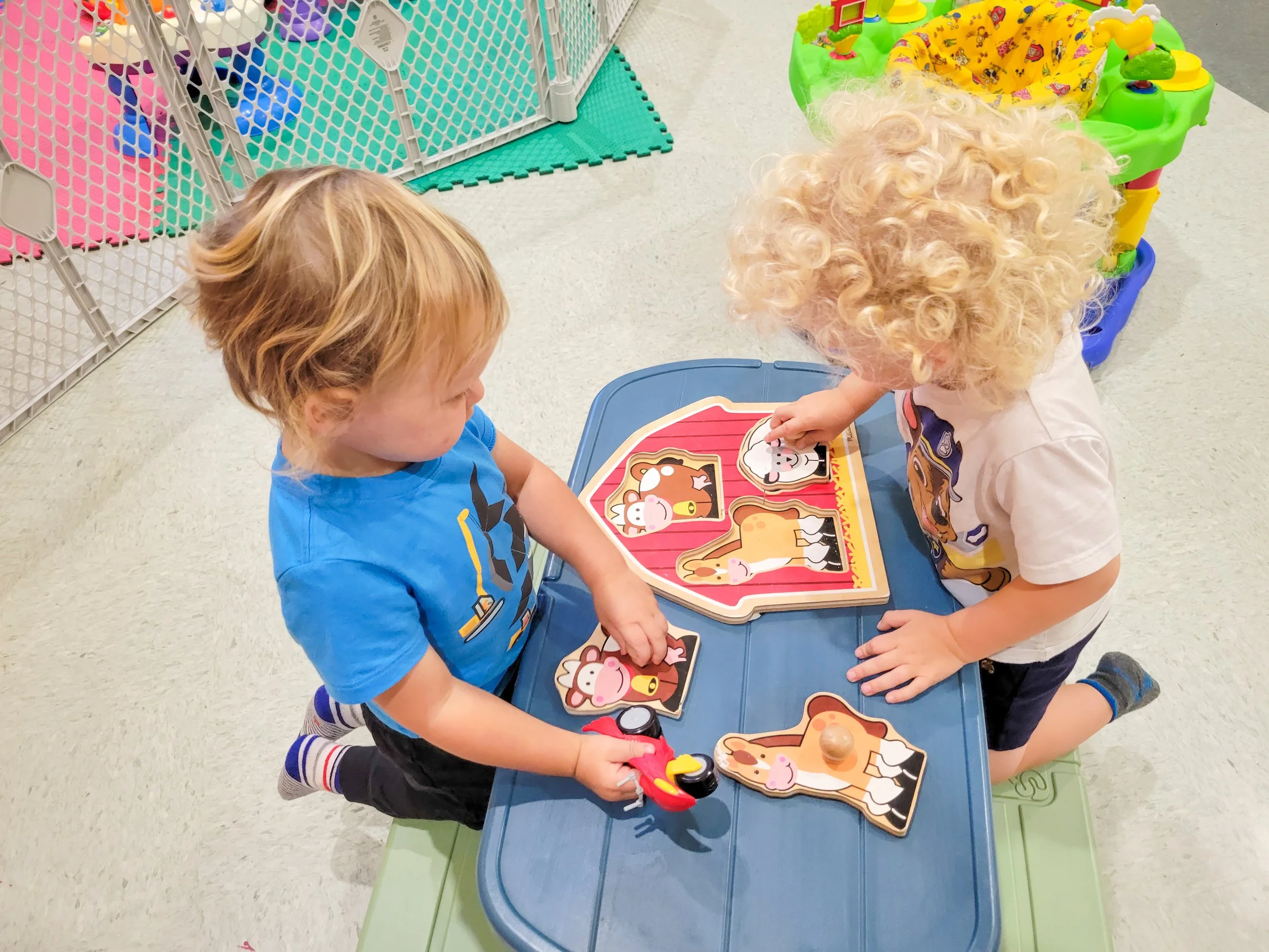 Working together to match animals 🧩