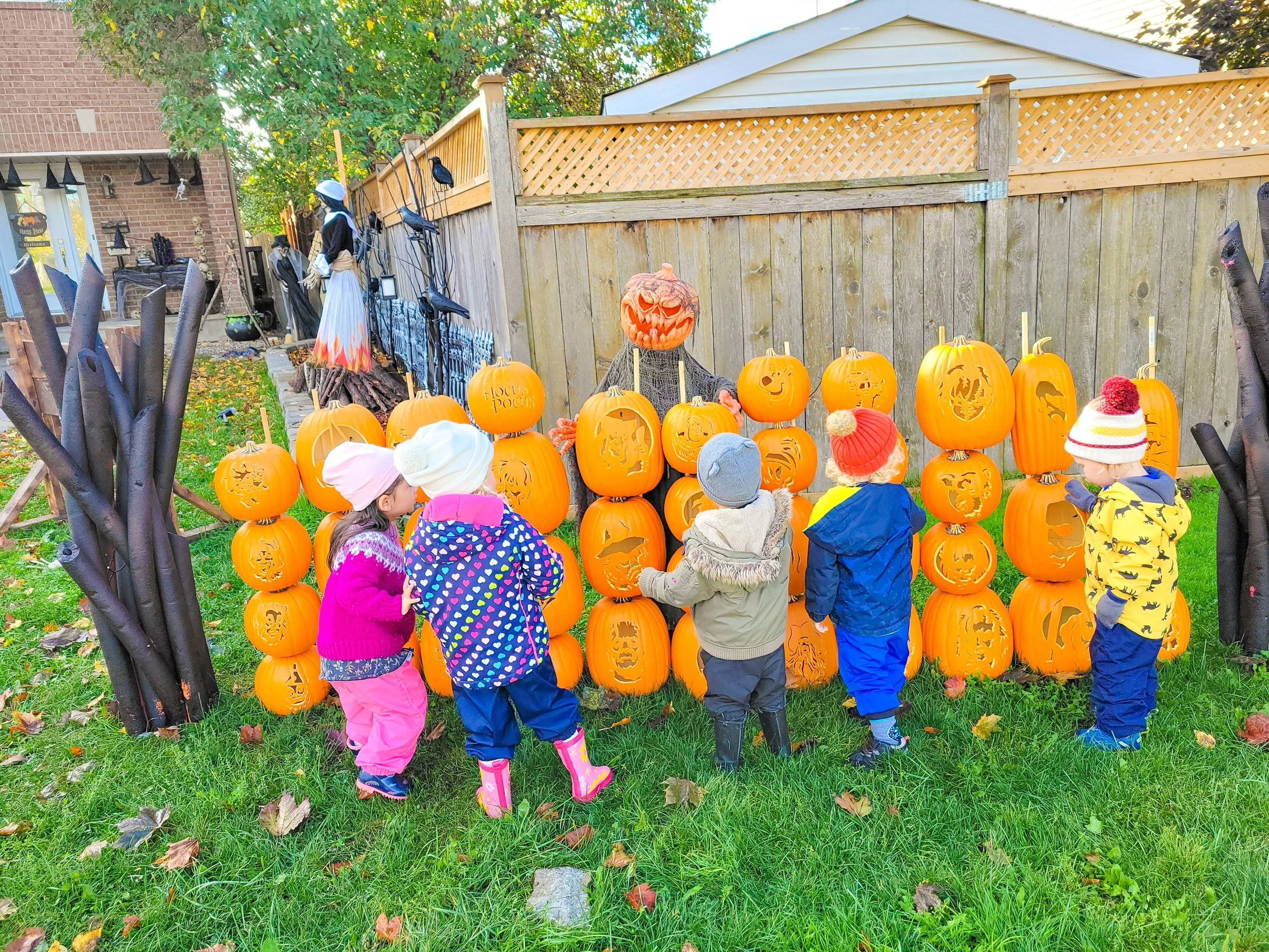 A festive little stop on our morning walk 🎃🍂😊