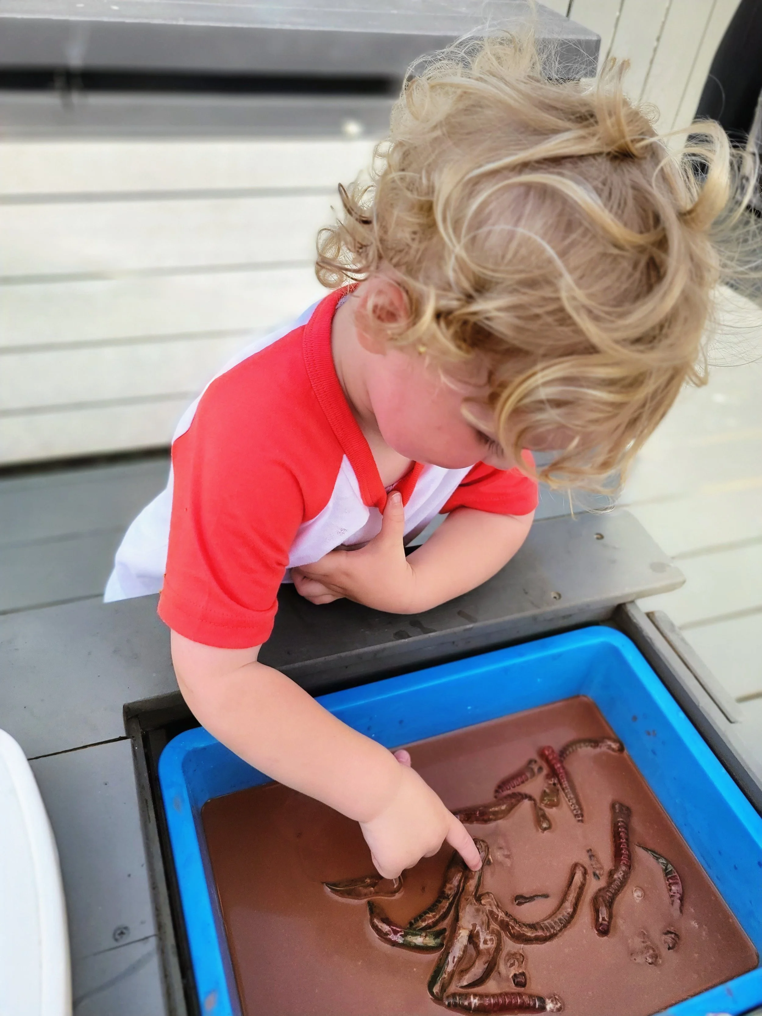 Wiggly worm sensory play! 🪱🖐️
