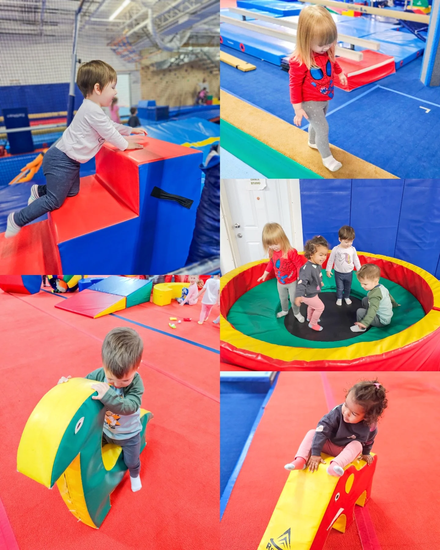 We had lots of fun at gymnastics! 🤸🤸♀️🤸♂️