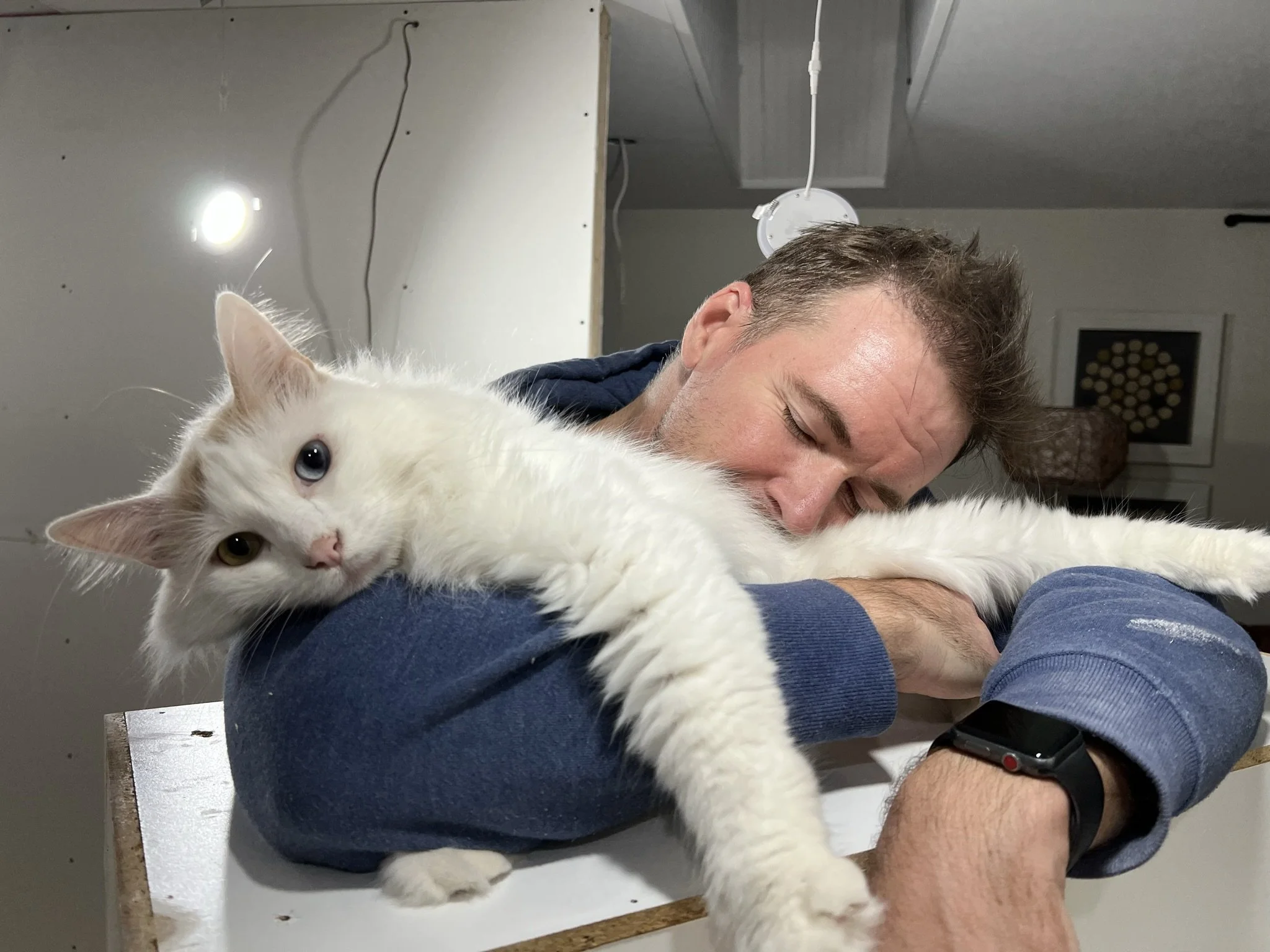 Nest&Notion-interior-design-and-renovation-ottawa-ontario-my-nest-kitchen-part2-sleepy-cat-and-chris.JPEG