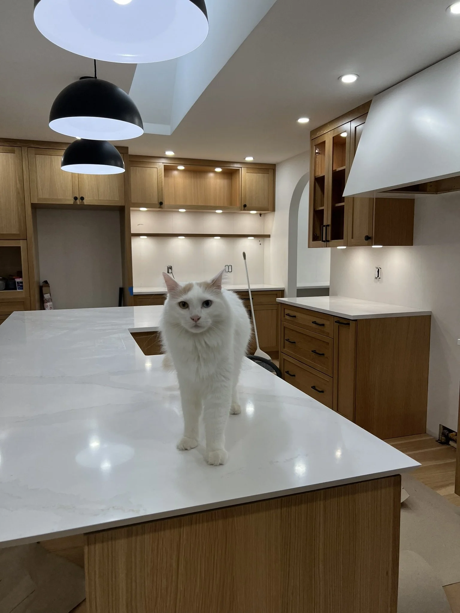 Nest&Notion-interior-design-and-renovation-ottawa-ontario-my-nest-kitchen3-counters-and-cat.JPEG