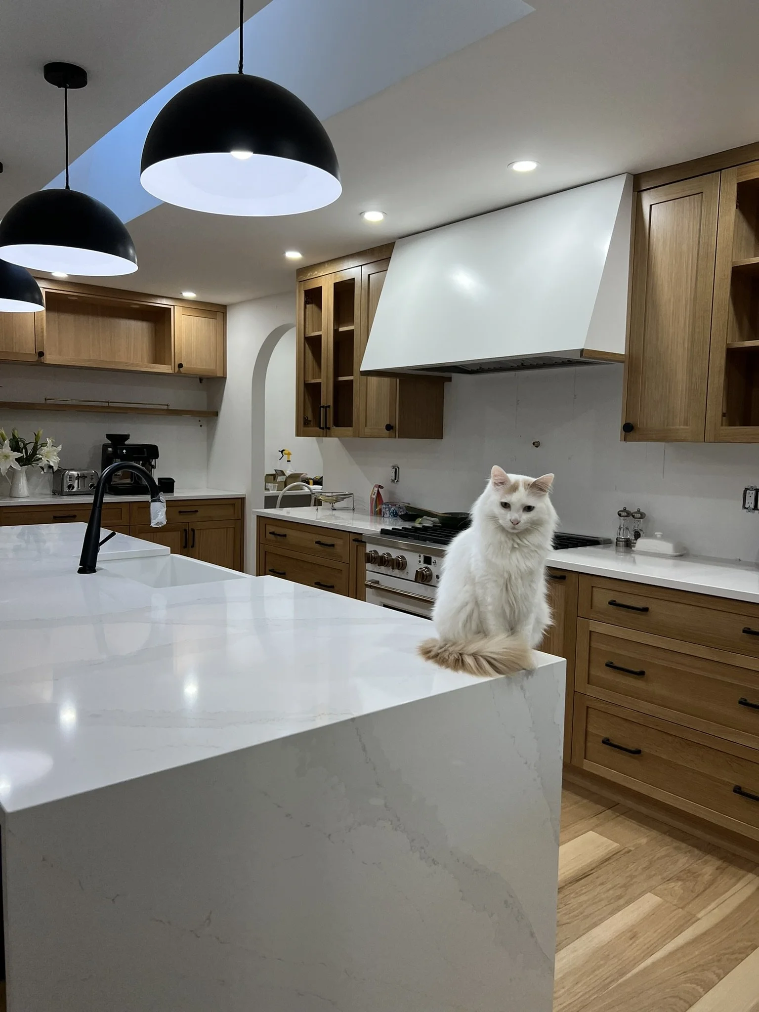 Nest&Notion-interior-design-and-renovation-ottawa-ontario-my-nest-kitchen3-island-with-cat.JPEG