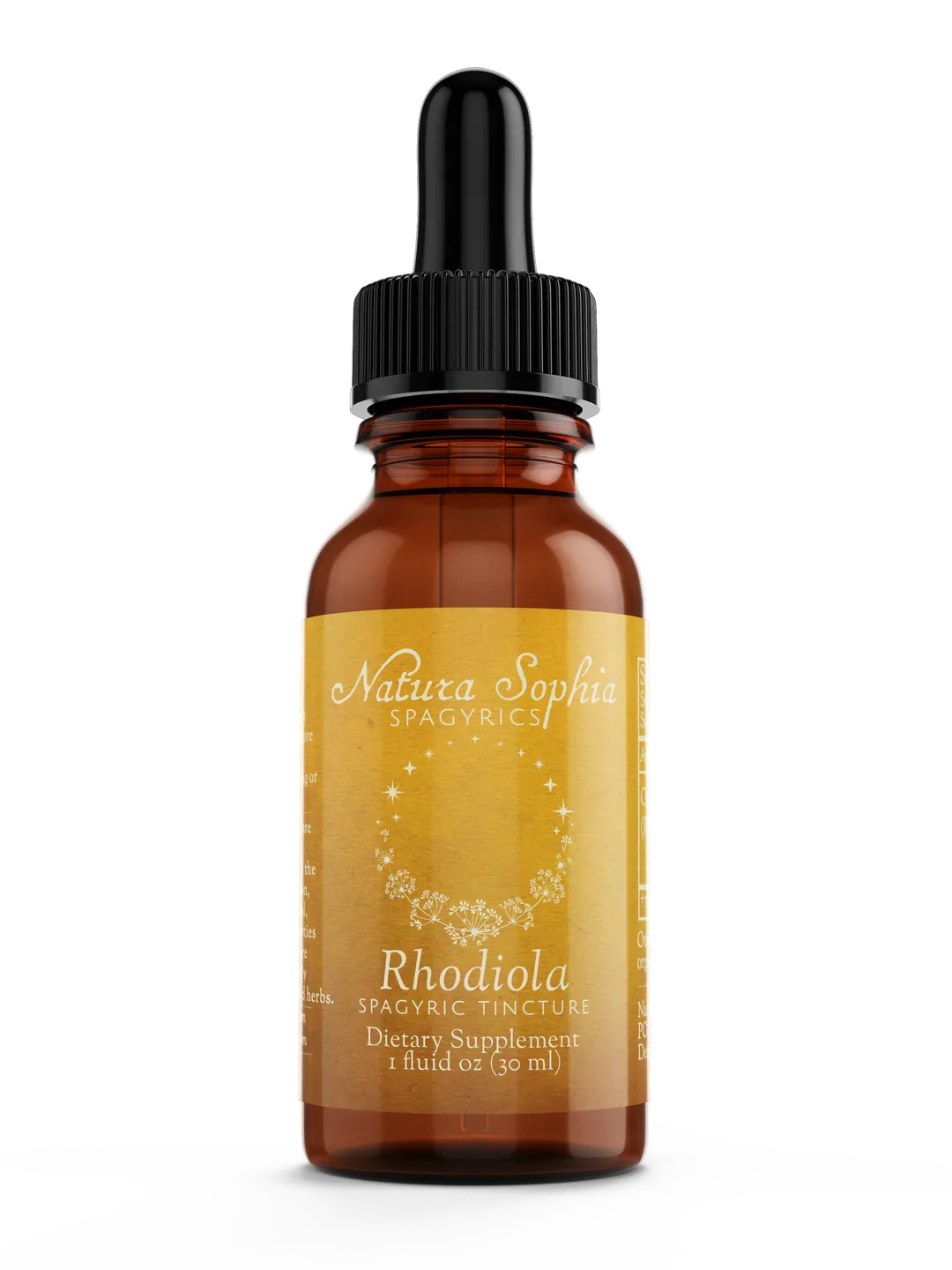 RhodiolaF.webp