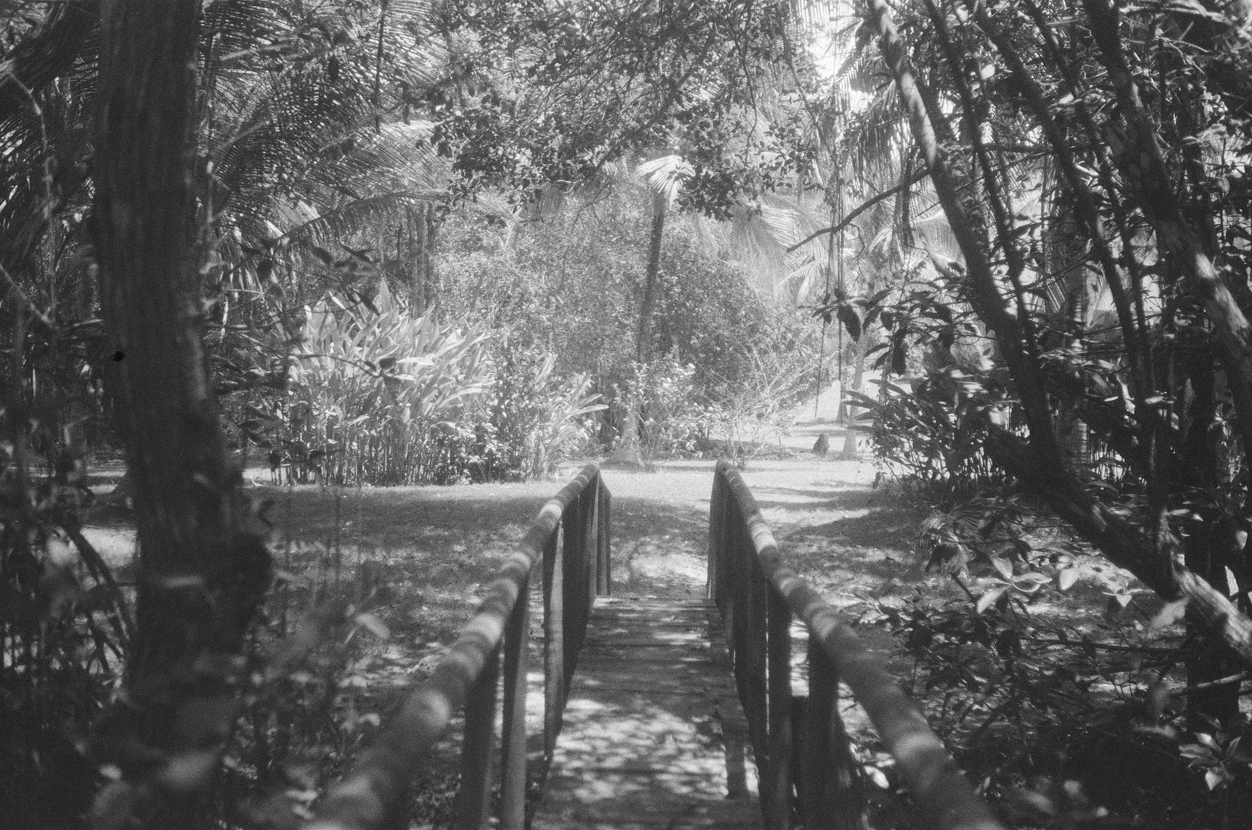 Santa Marta Path.jpg