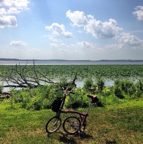 Great River Trail by Brompton