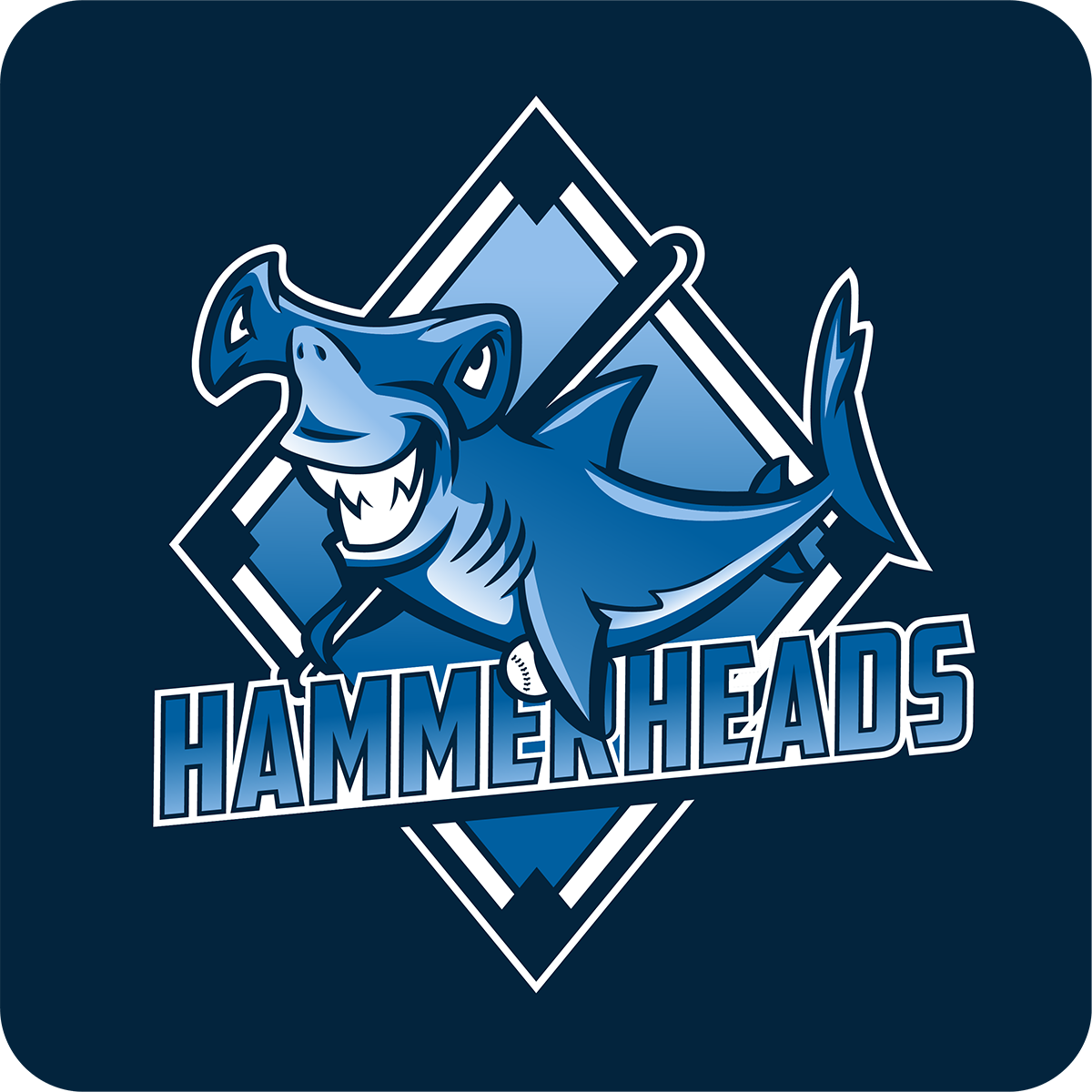 Design Upgrade 4 (cropped)_smaller.png