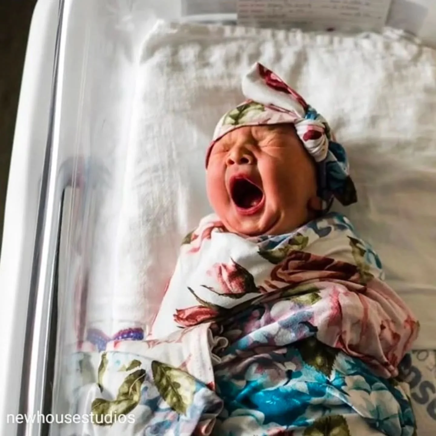 Its exhausting being born.

Its exhausting being the one doing the birthing!

Placenta pills can make your postpartum less exhausting by replenishing nutrients lost during birth.

The biggest nutrient your placenta contains is bioavailable iron. Incr