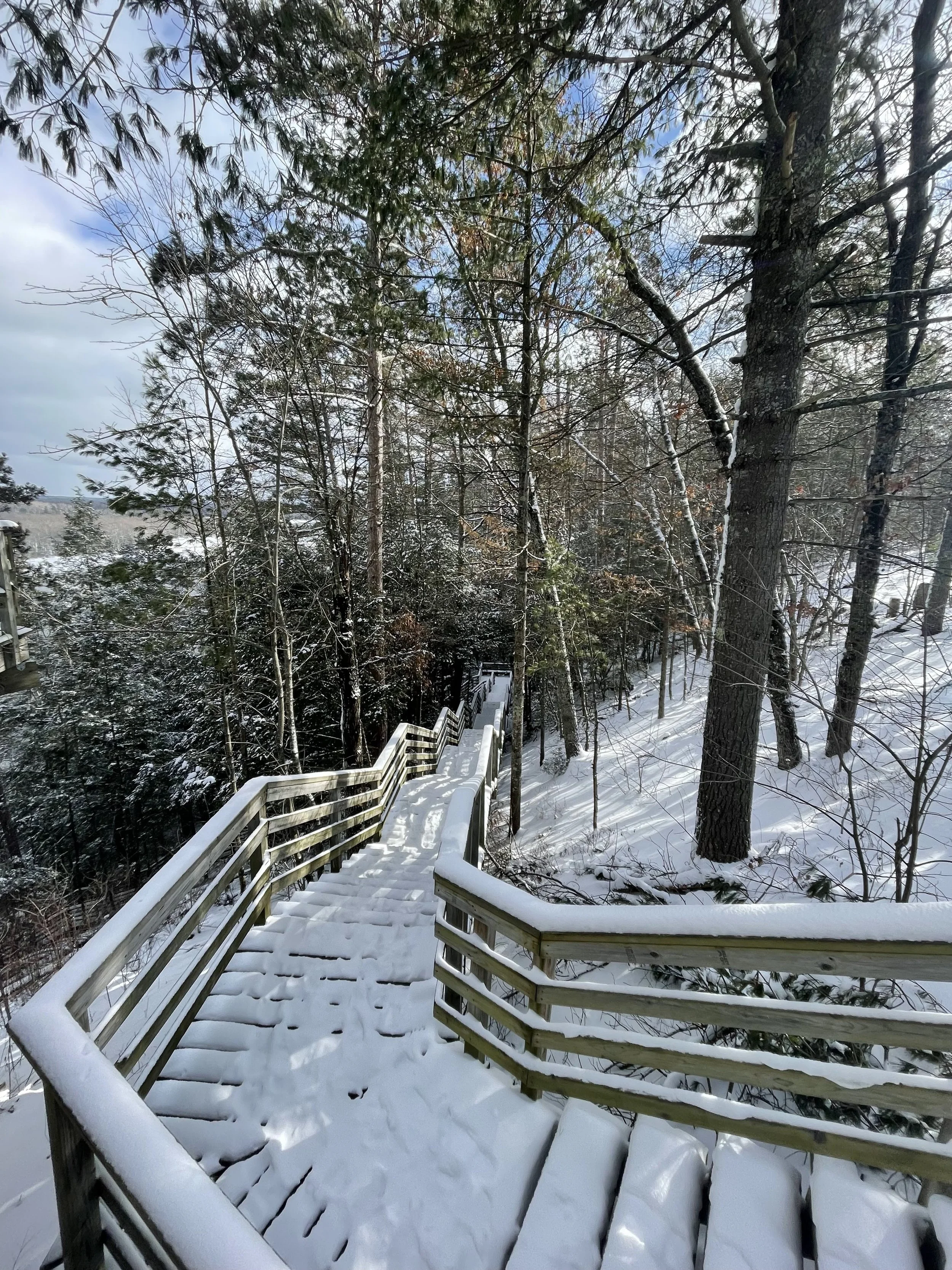 pet friendly getaway in Michigan