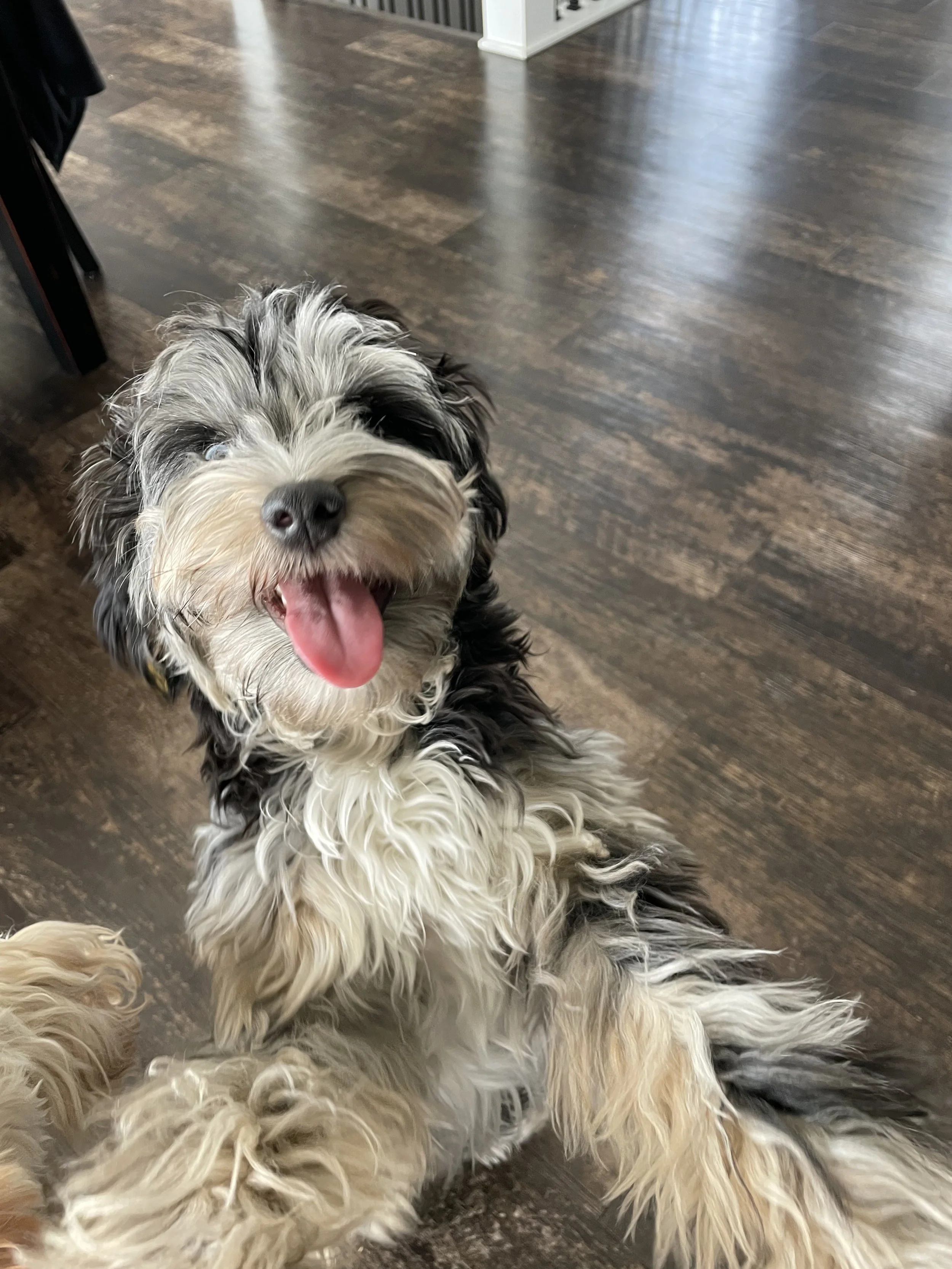 pet friendly getaway on Lake Huron with kayaks, hot tub, and suana
