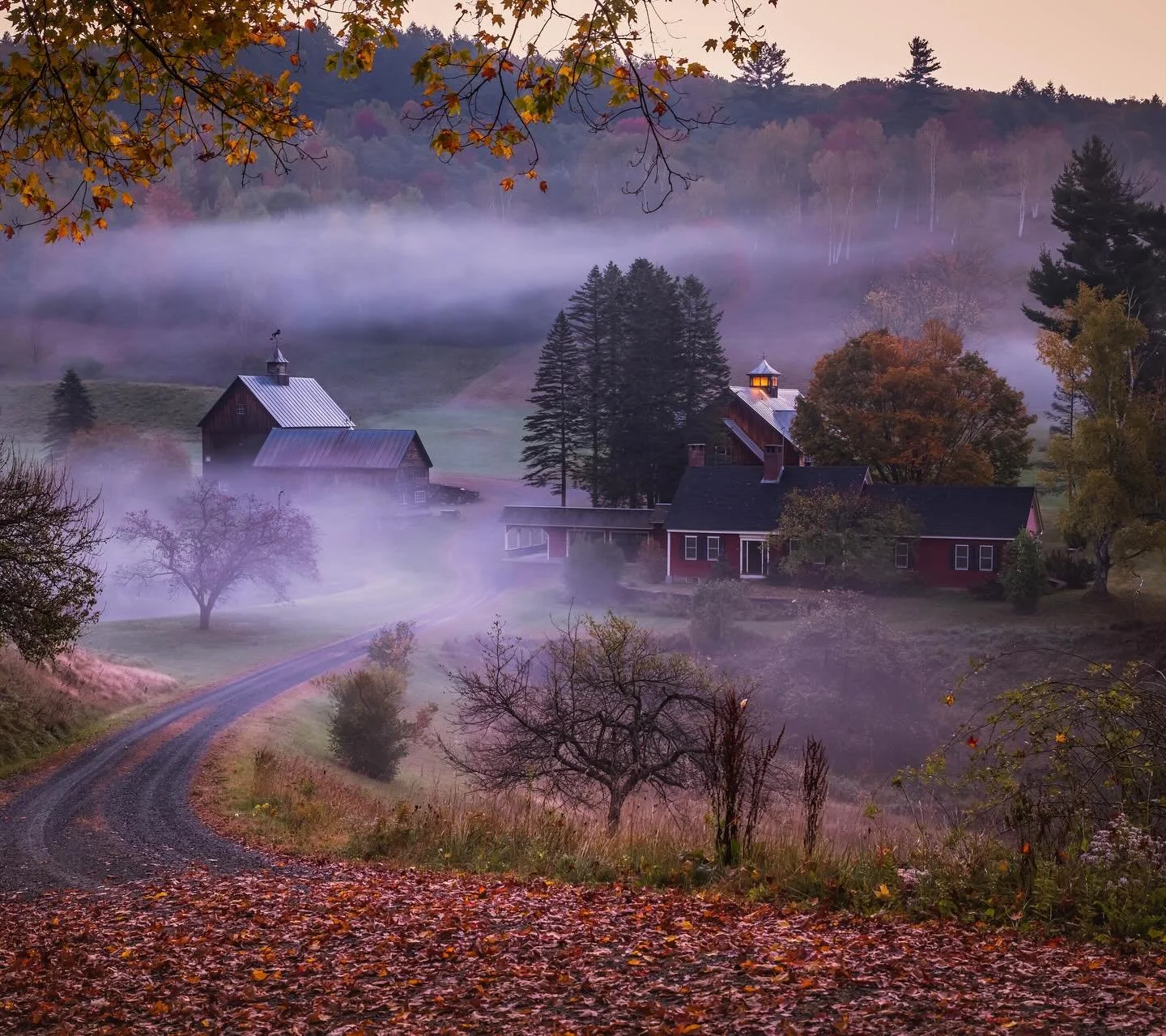 There are some things I know for certain&hellip; 🍂✨

That fall mornings were meant to be wrapped in magic.

That fog rolling through the hills in this photo feels illegal. It rolled in just for our photos and left.

That barns, back roads, and the g