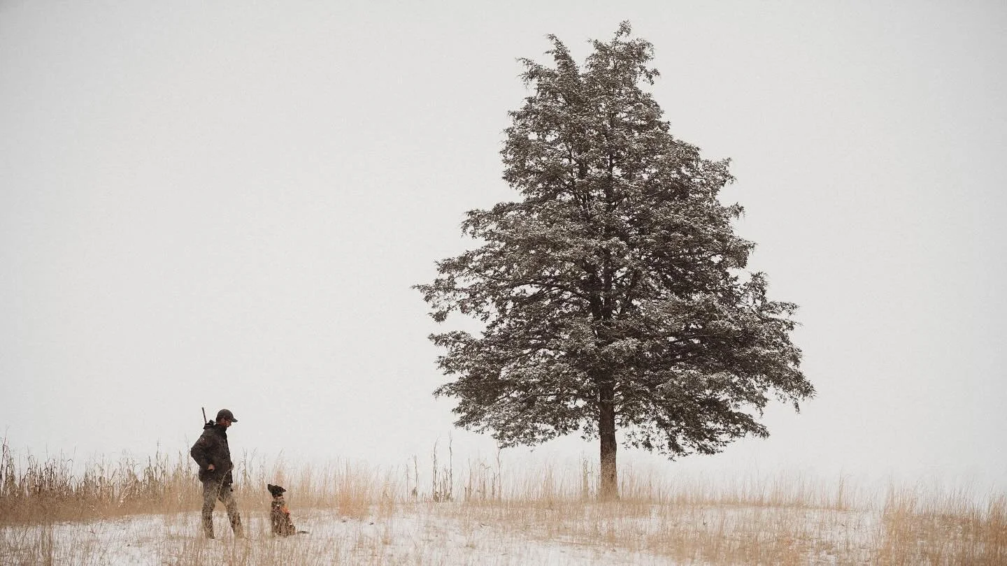 Some days looking at the photos hurt and some days it just feels like home.

Today hit me like a bag of bricks. It&rsquo;s Adam&rsquo;s birthday.

The birthdays, anniversaries, the random tuesdays, the dreams &amp; nightmares&hellip;they still sting,