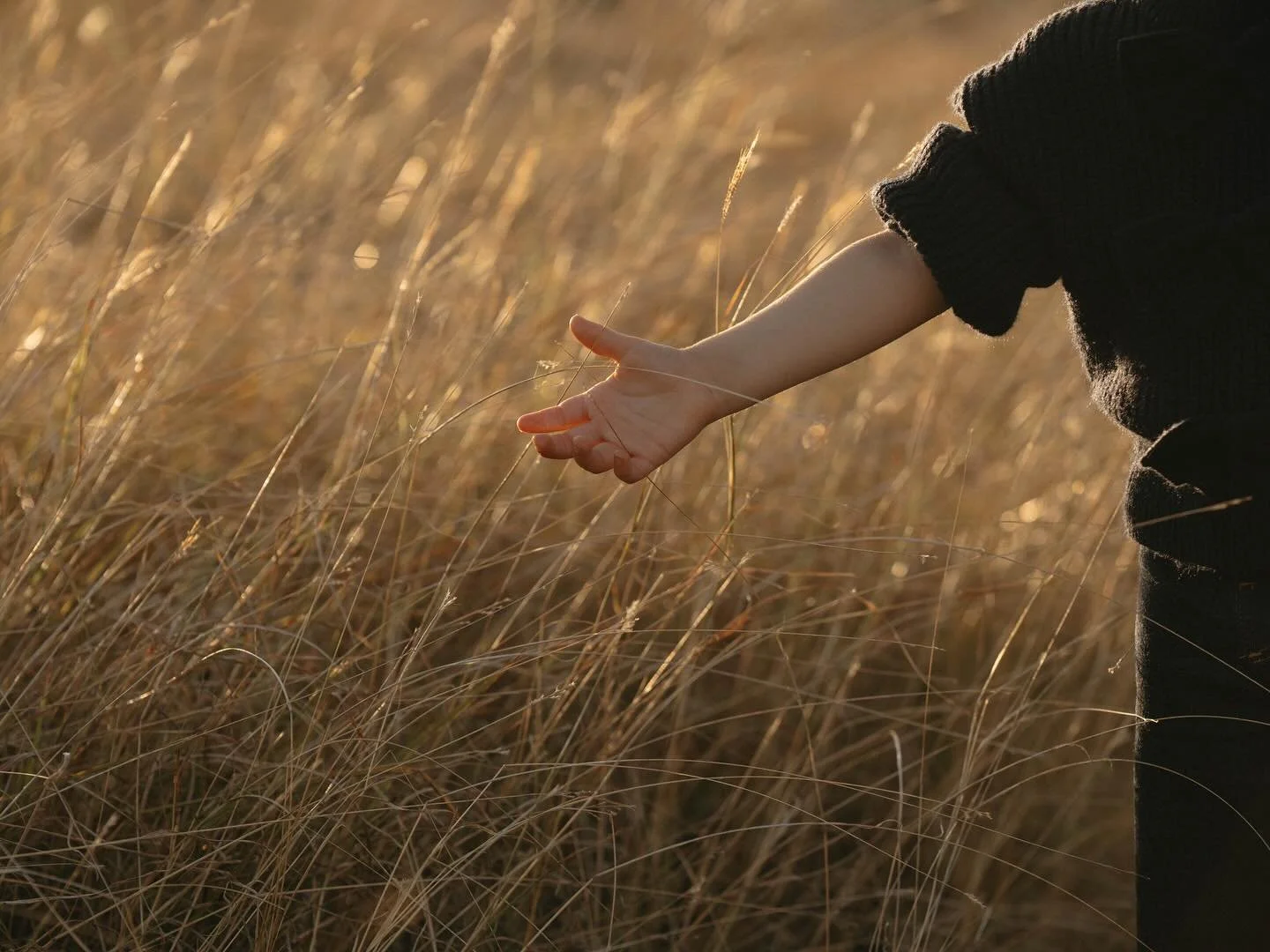 Sometimes the most simple gestures end up having the biggest story&hellip; 🤍

#texas 
#texasphotographer 
#aledo 
#aledomoms
#aledoisd 
#parkercounty
#motherhood 
#texasmoms 
#fortworthmoms 
#FortWorthPhotography
#DFWFamilyPhotography
#TexasMoms
#Mo