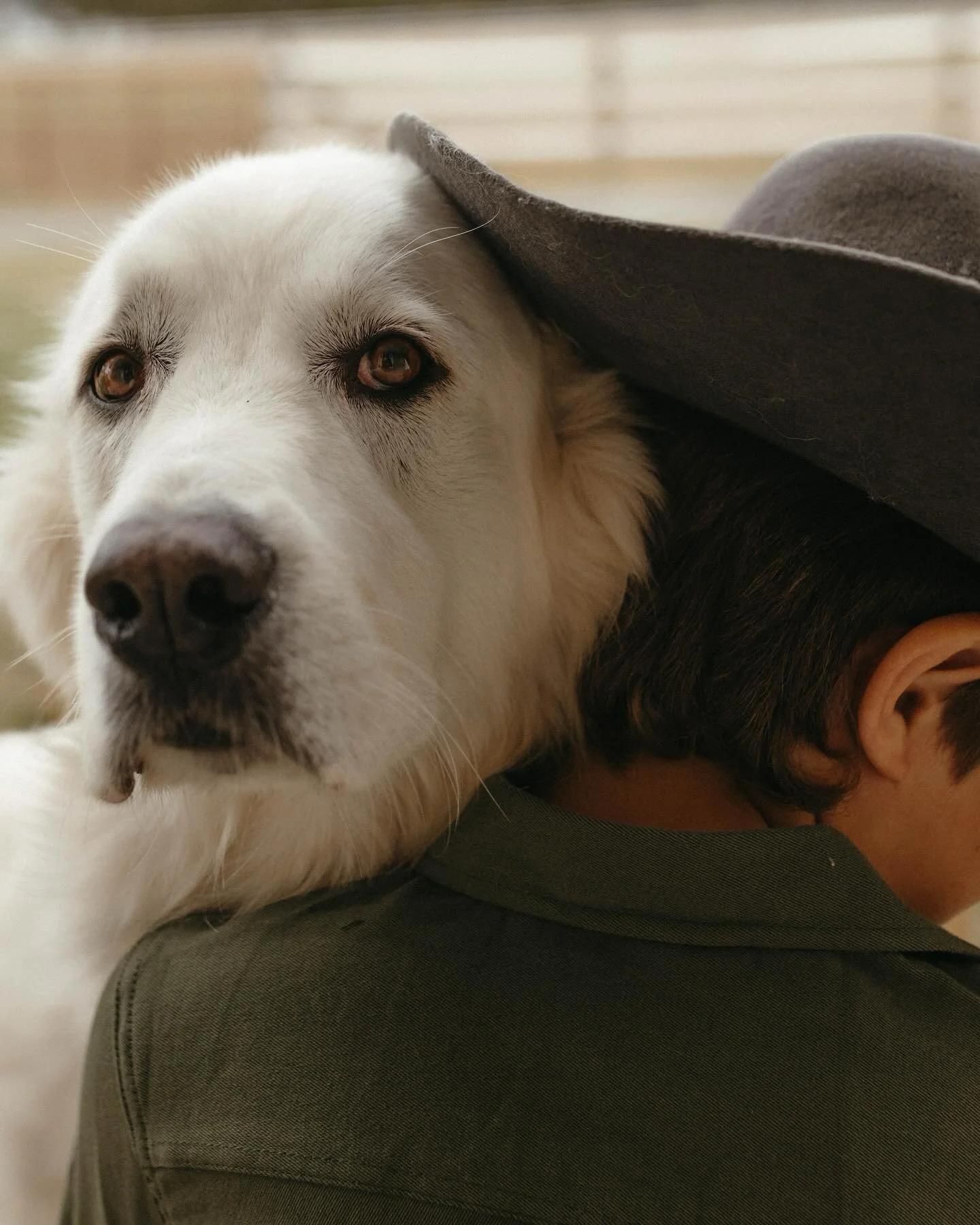 Some sessions don&rsquo;t need a plan or organization&hellip;some just have a story to be told through the rhythm of everyday life.

We don&rsquo;t need perfection. There&rsquo;s so much depth tucked inside your home, your land, and the regular days 