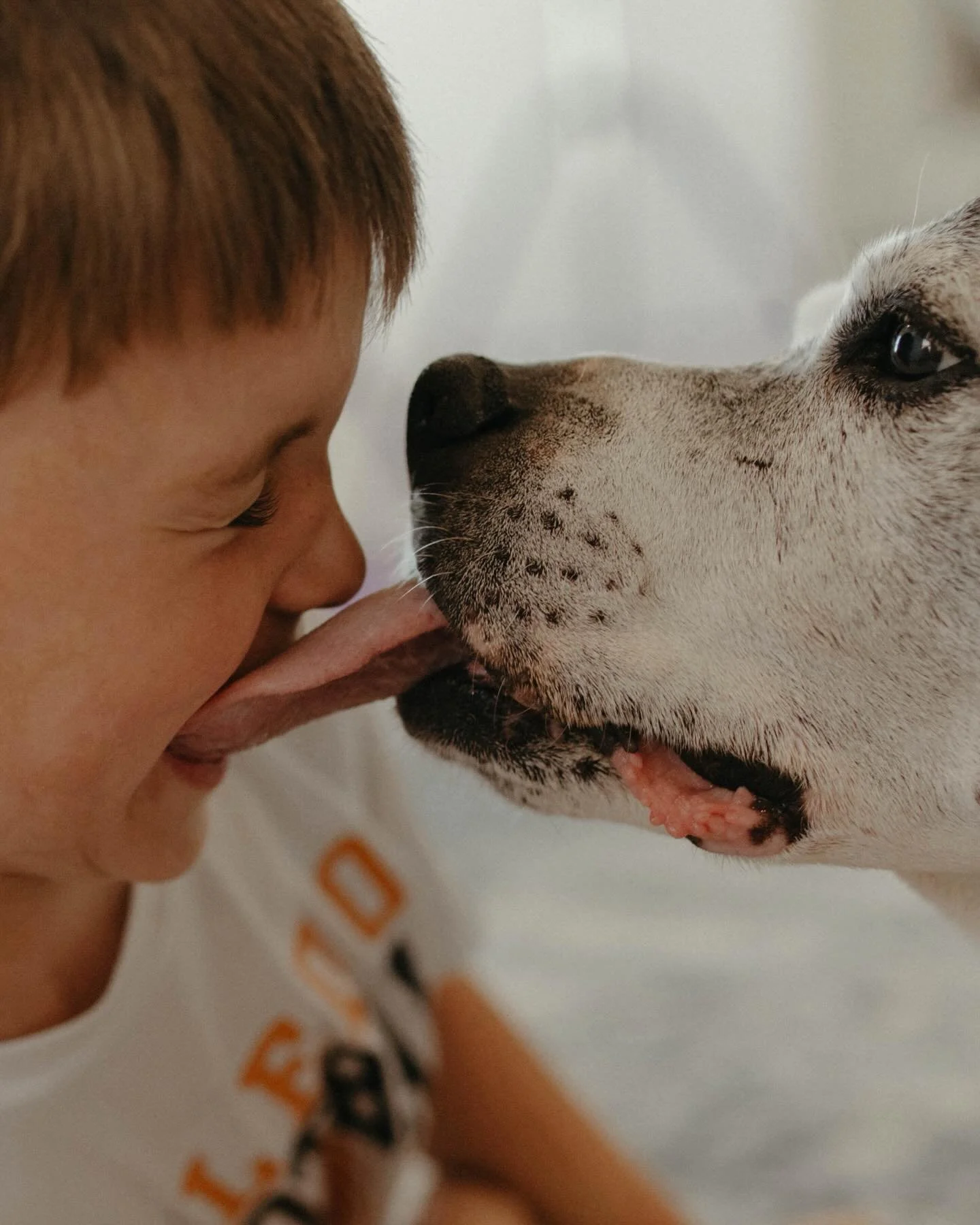 Everyone meet Hammy.

Dogs don&rsquo;t say words, but somehow they say so much just by being there.

Hammy was there when dad proposed to mom. He was there when they bought their first house and when they packed up and moved. He was there when baby n