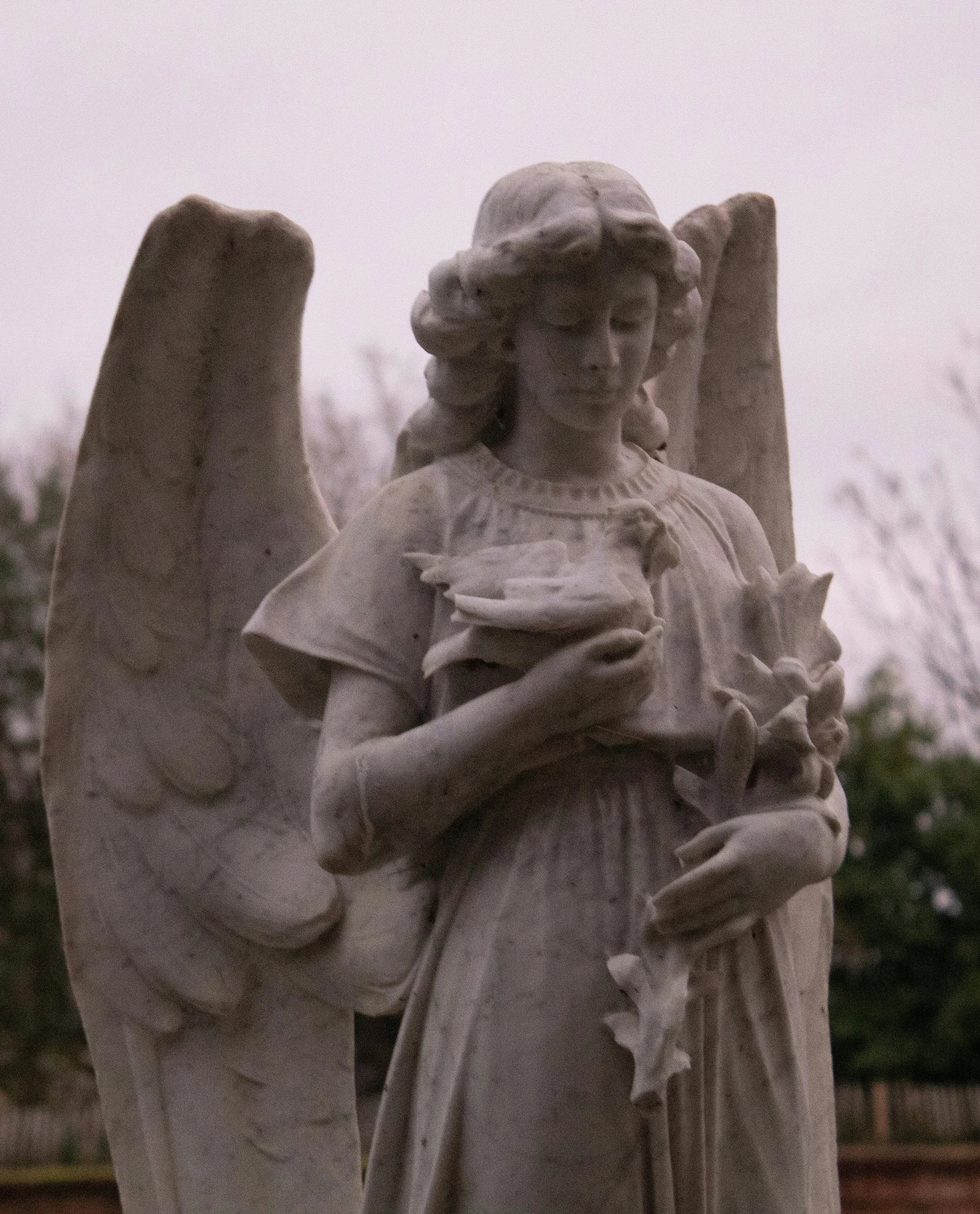 The Sorrow of Healed Wounds