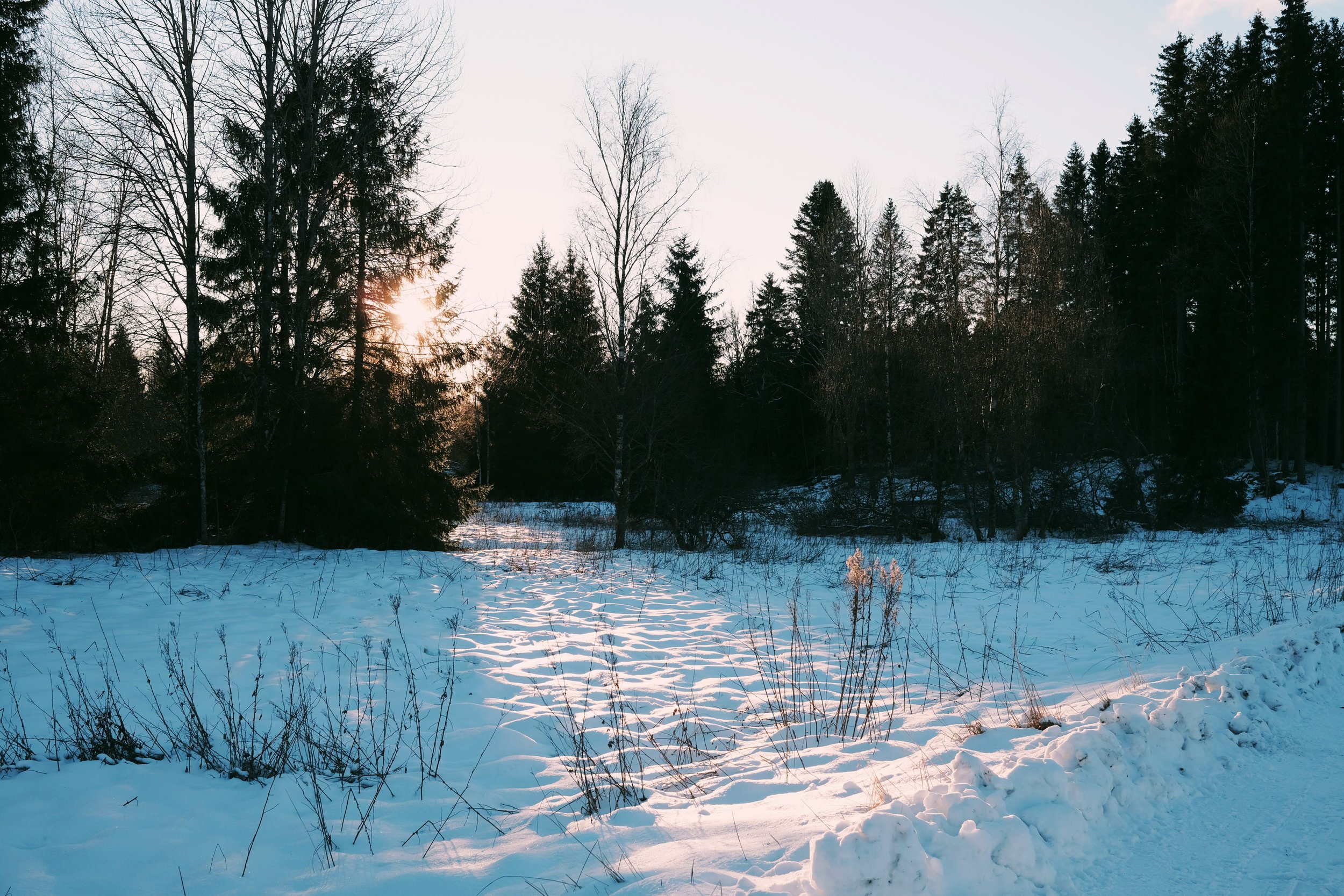 Your 2025 Winter Solstice Workbook is Here!