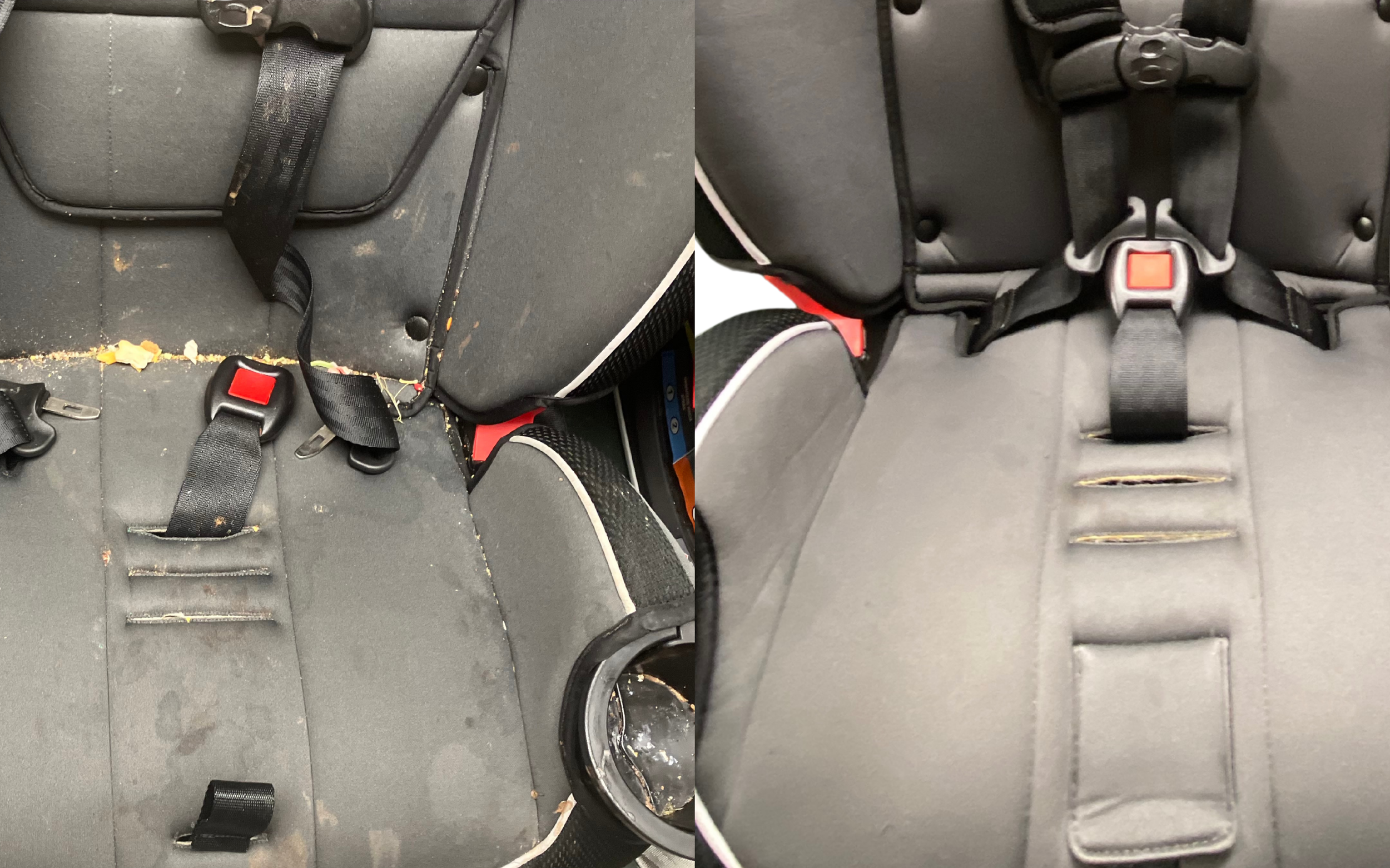 Before After 6.png