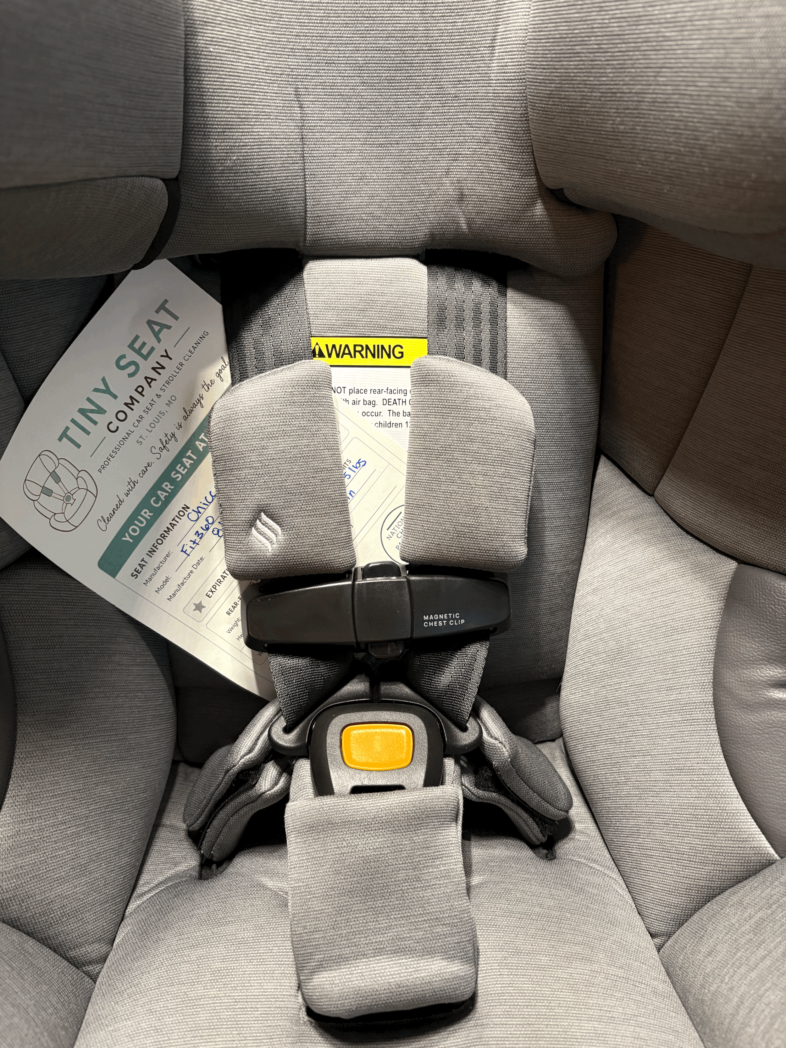 Why I Started The Tiny Seat Company