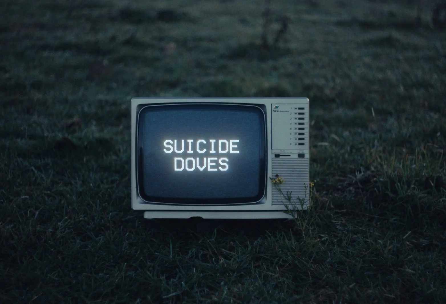 Suicide Doves