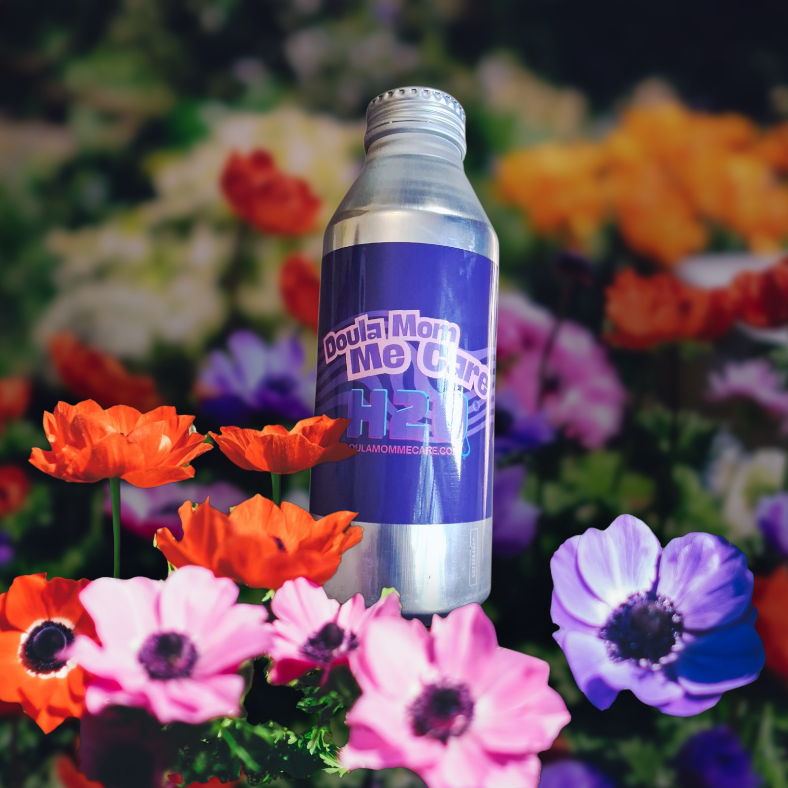 191bce00-fd3d-4aea-9510-542954c31a76 (1) (6).png