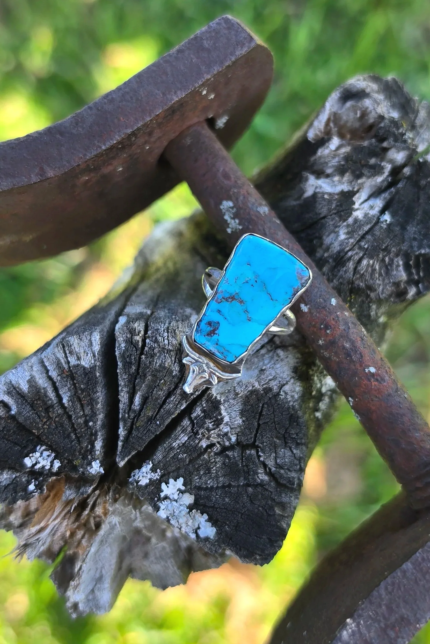Turquoise Longhorn