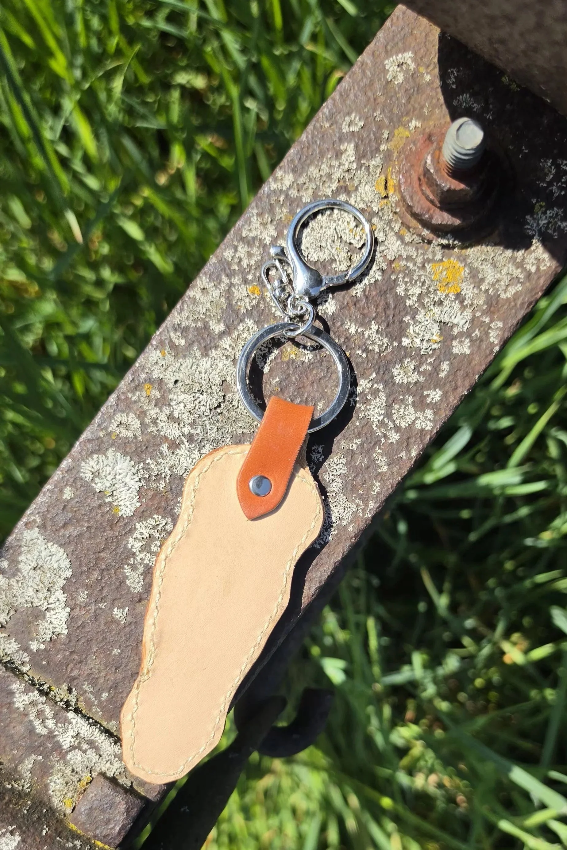 20260525_160324.jpg