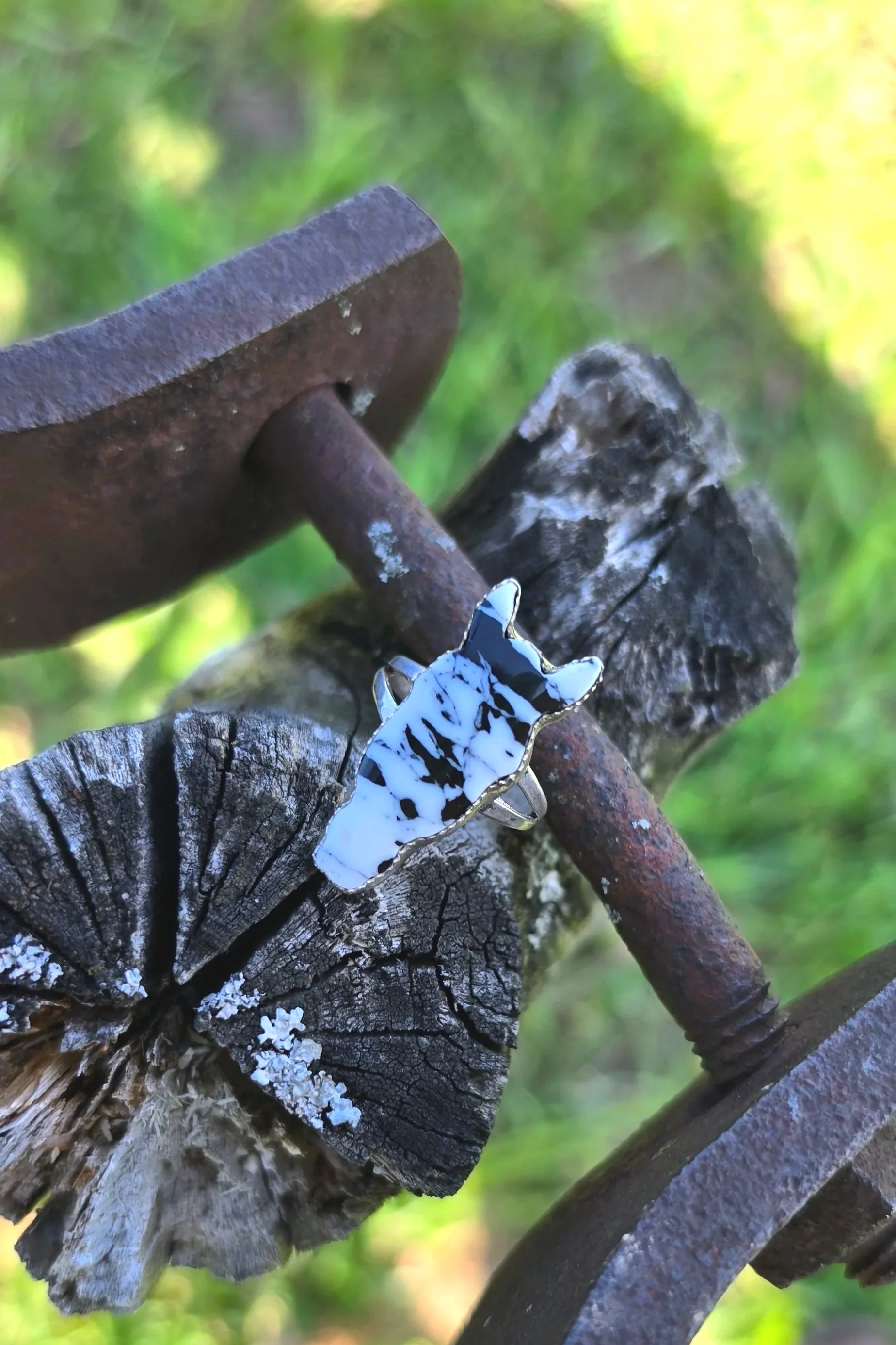 Cow Pony Ring