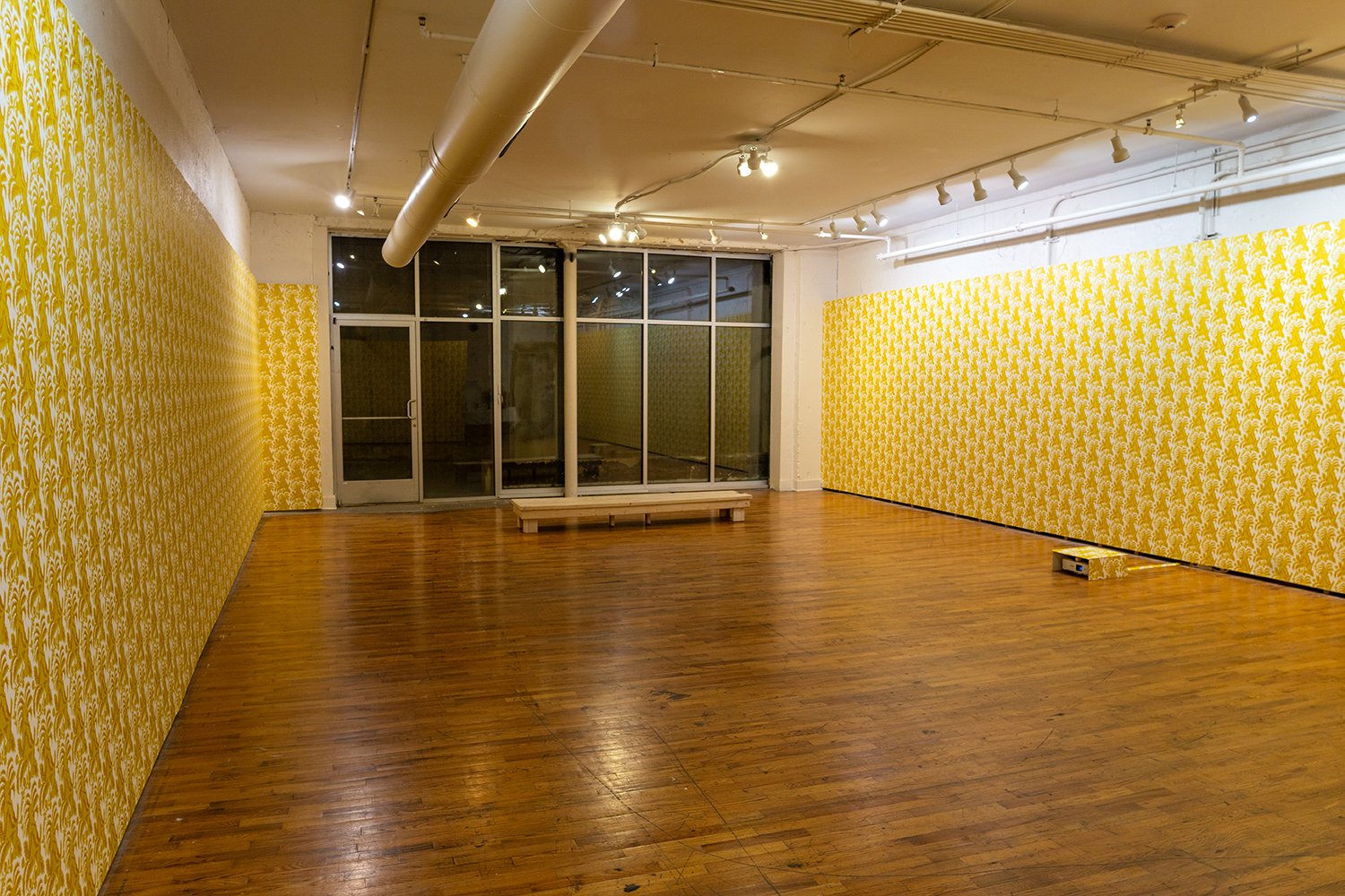 "In Yellow" Gallery 1010, Knoxville, TN, 2025