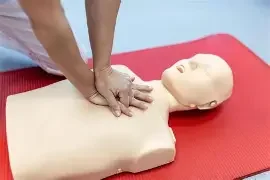 Adult First Aid/CPR/AED (October 17th 8:00am-11:30am)