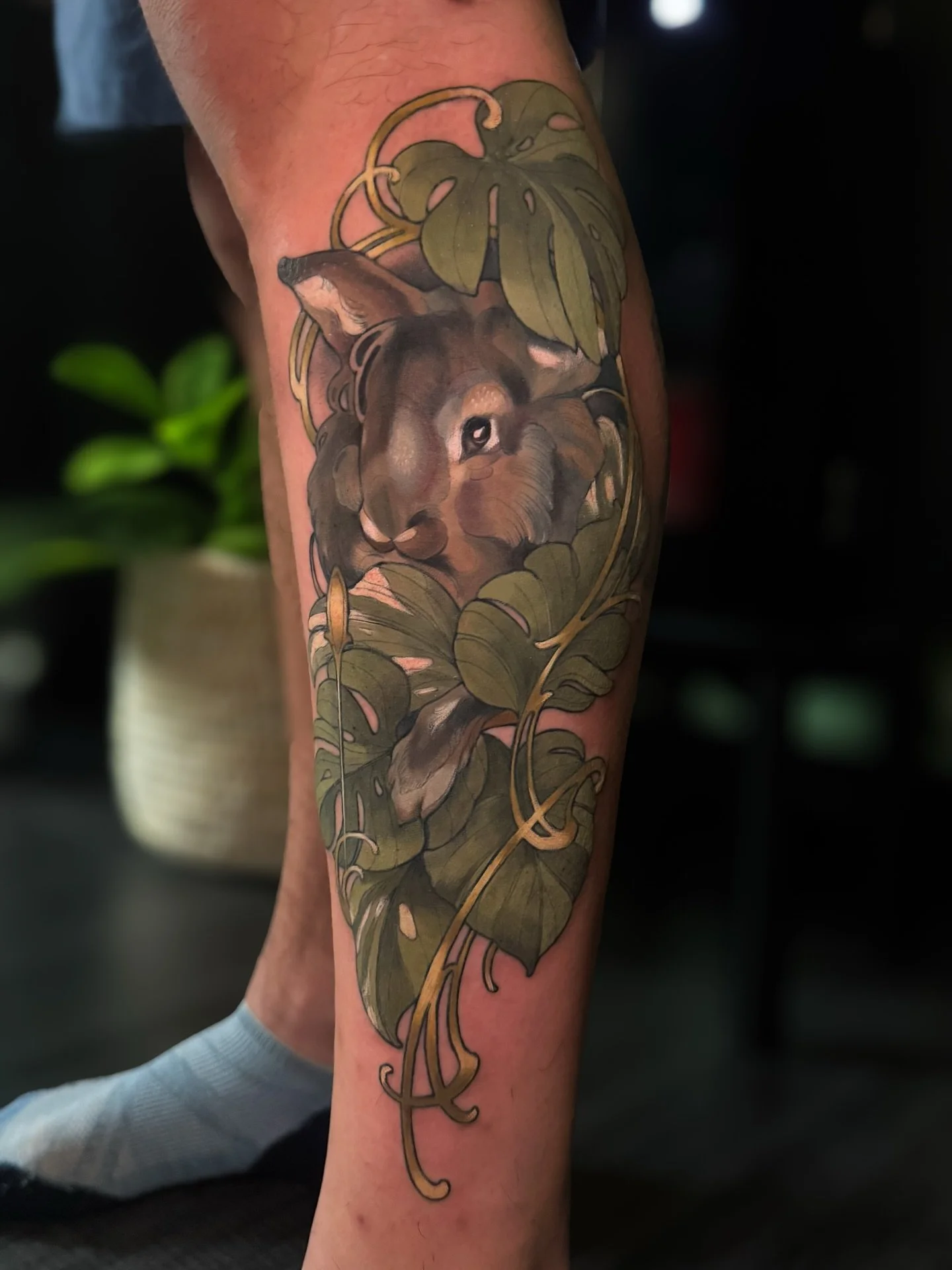 Pet rabbit and monstera leaves 💚

&hearts;️Books are currently closed. Booking updates will be posted here and at @escatlatatattoo. To join my mailing list go to https://www.escarlatatattoo.com &hearts;️

#sandyspringstattoo #escarlatatattoo #flasht