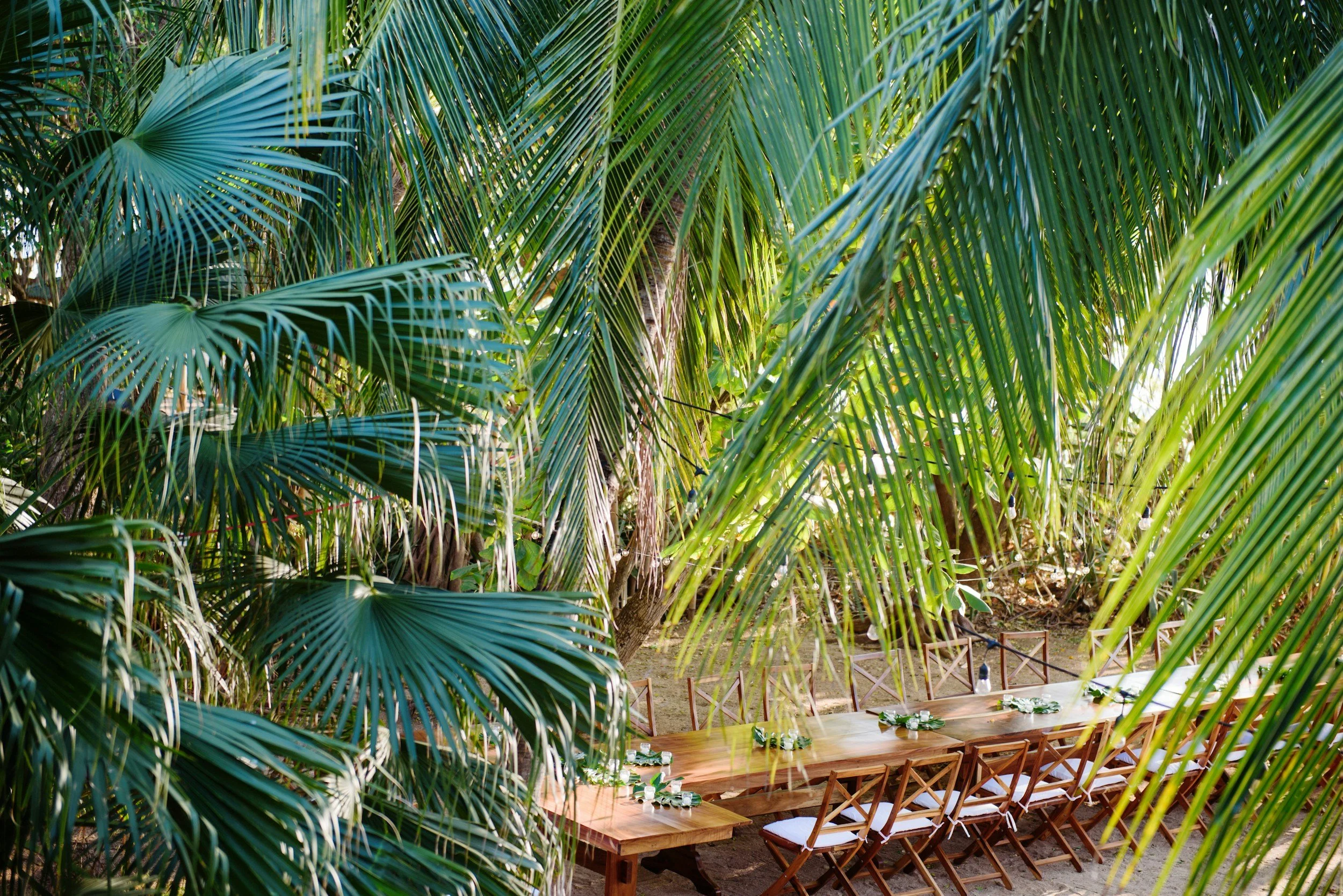Long dinner table set for a group under palm trees, like a shared meal at a therapist retreat