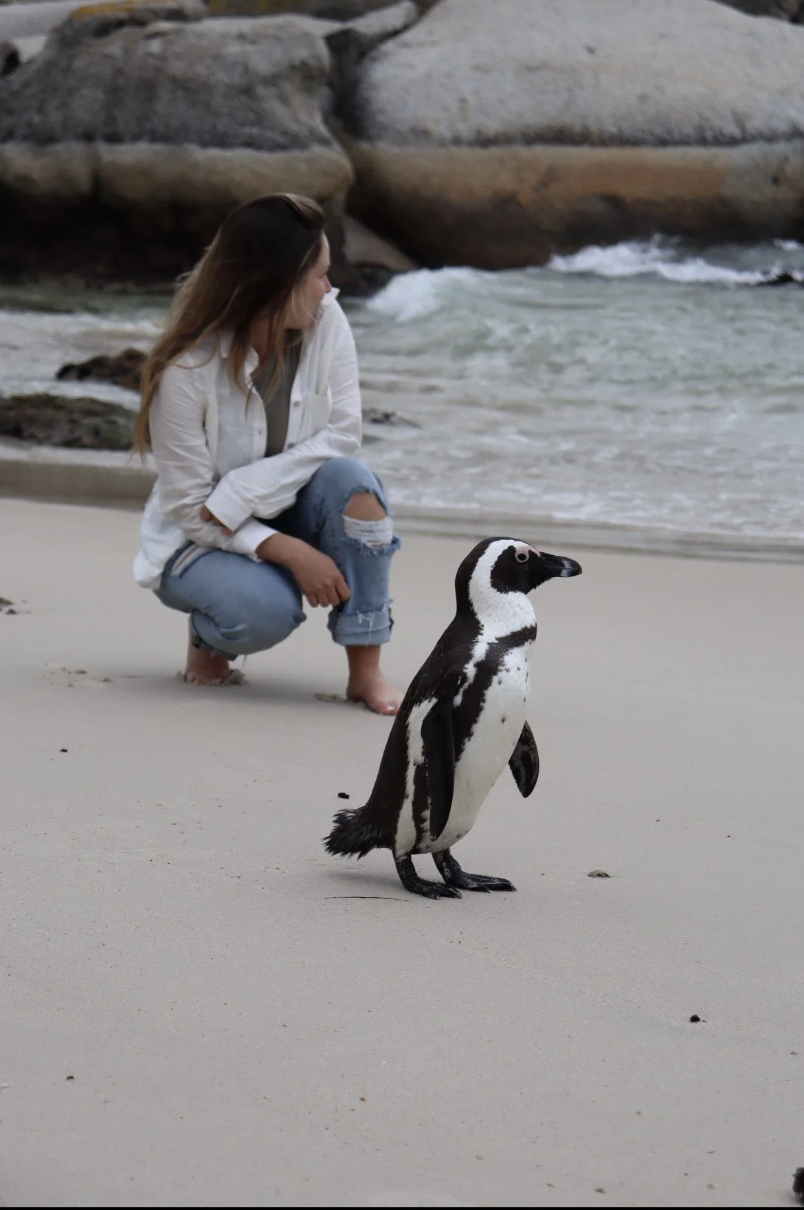 A woman in a white shirt and ripped jeans squatting on a sandy beach, looking towards a penguin standing on the sand near the water.
