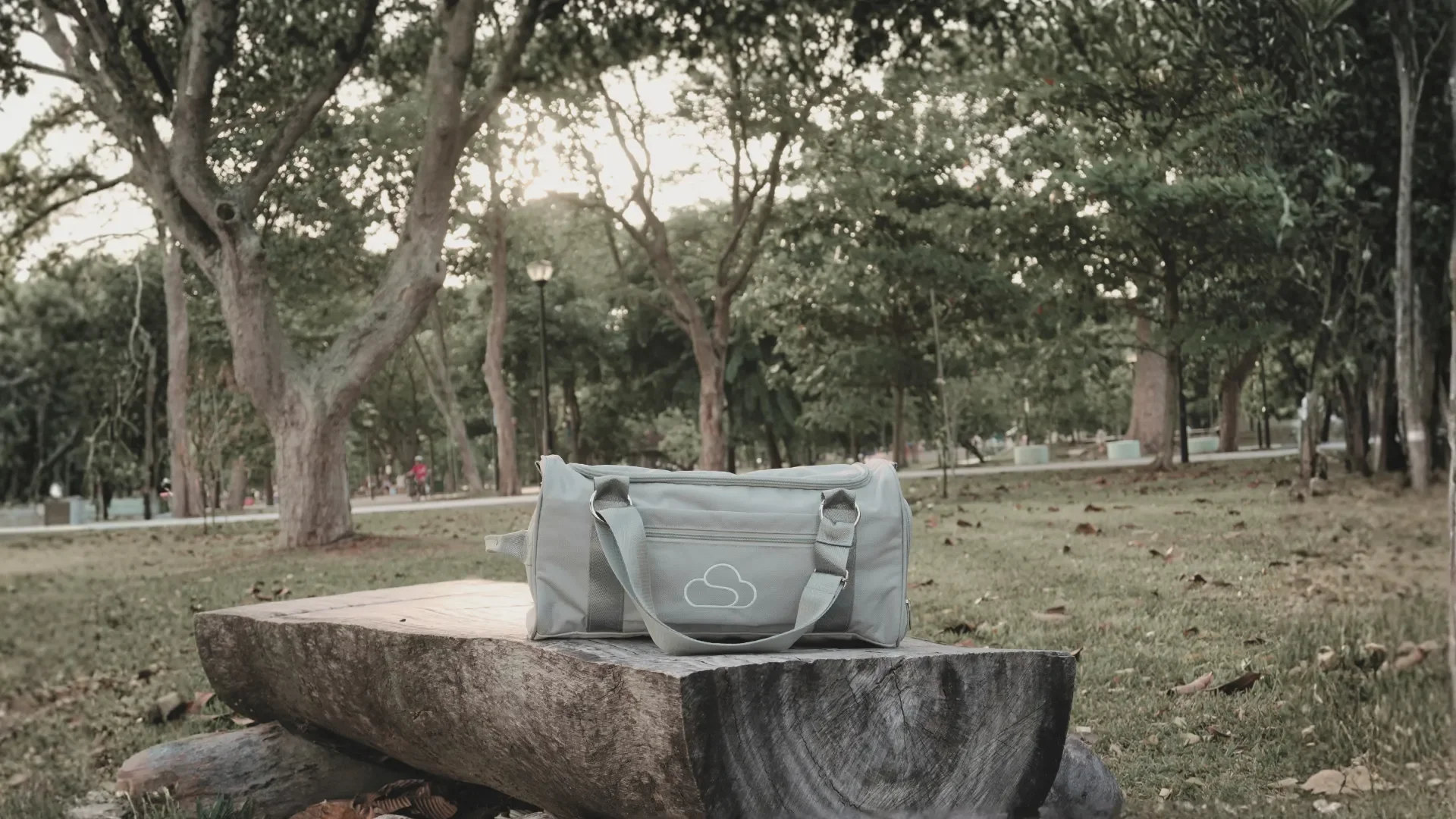Grey Skylaris Duffel Bag (22L) resting on a rustic wooden log bench in a park. The versatile carry-on bag clearly displays the Skylaris logo and a quick-access front pocket, perfect for short trips and everyday essentials.