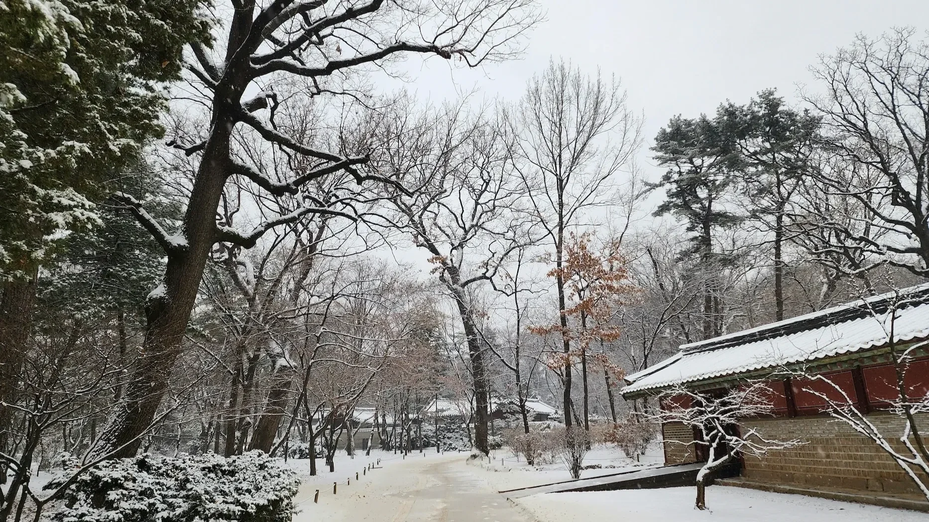 Snow falling softly over a traditional Korean street scene, capturing the serene beauty of winter travel in Korea.