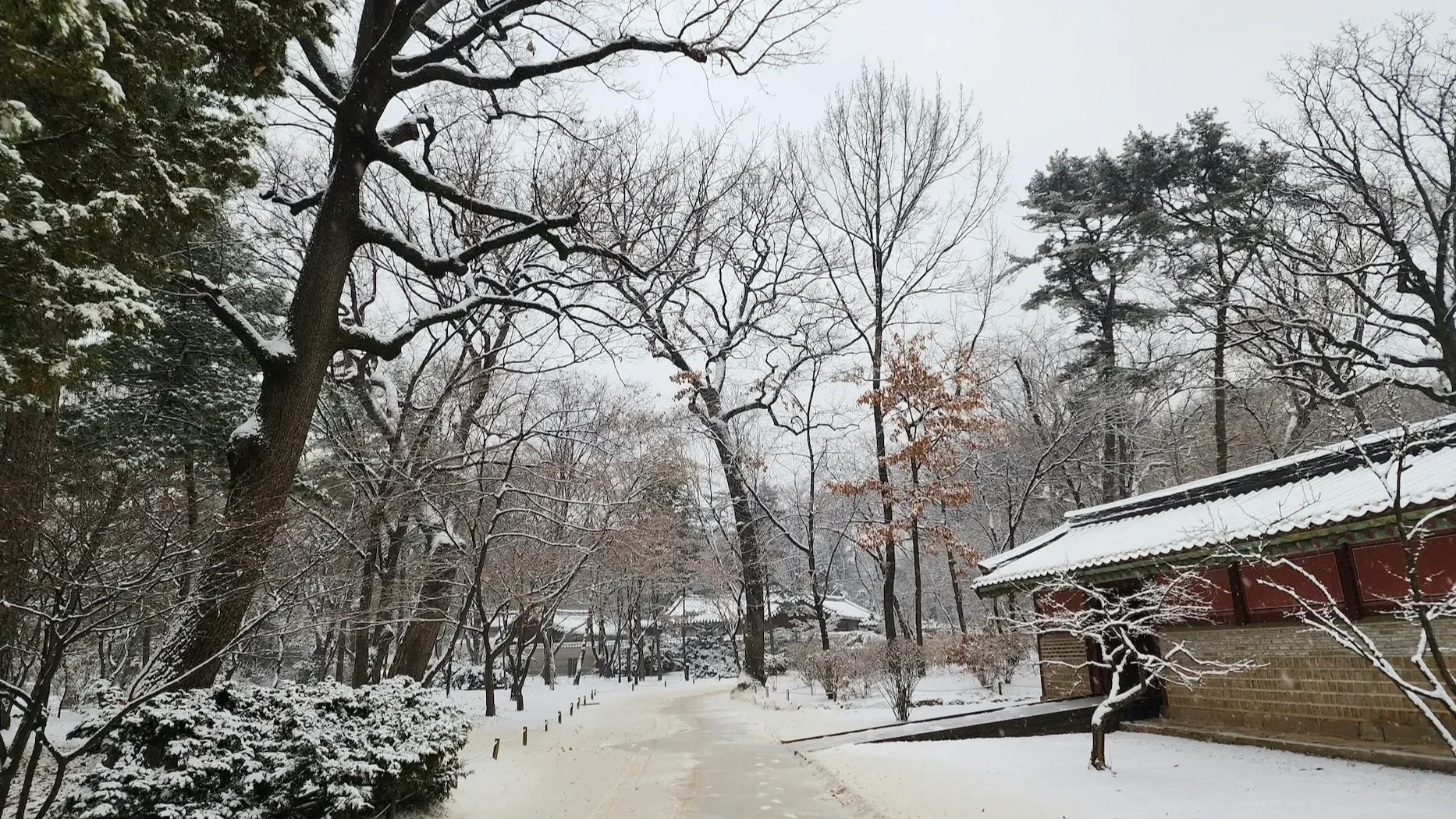 Snow falling softly over a traditional Korean street scene, capturing the serene beauty of winter travel in Korea.