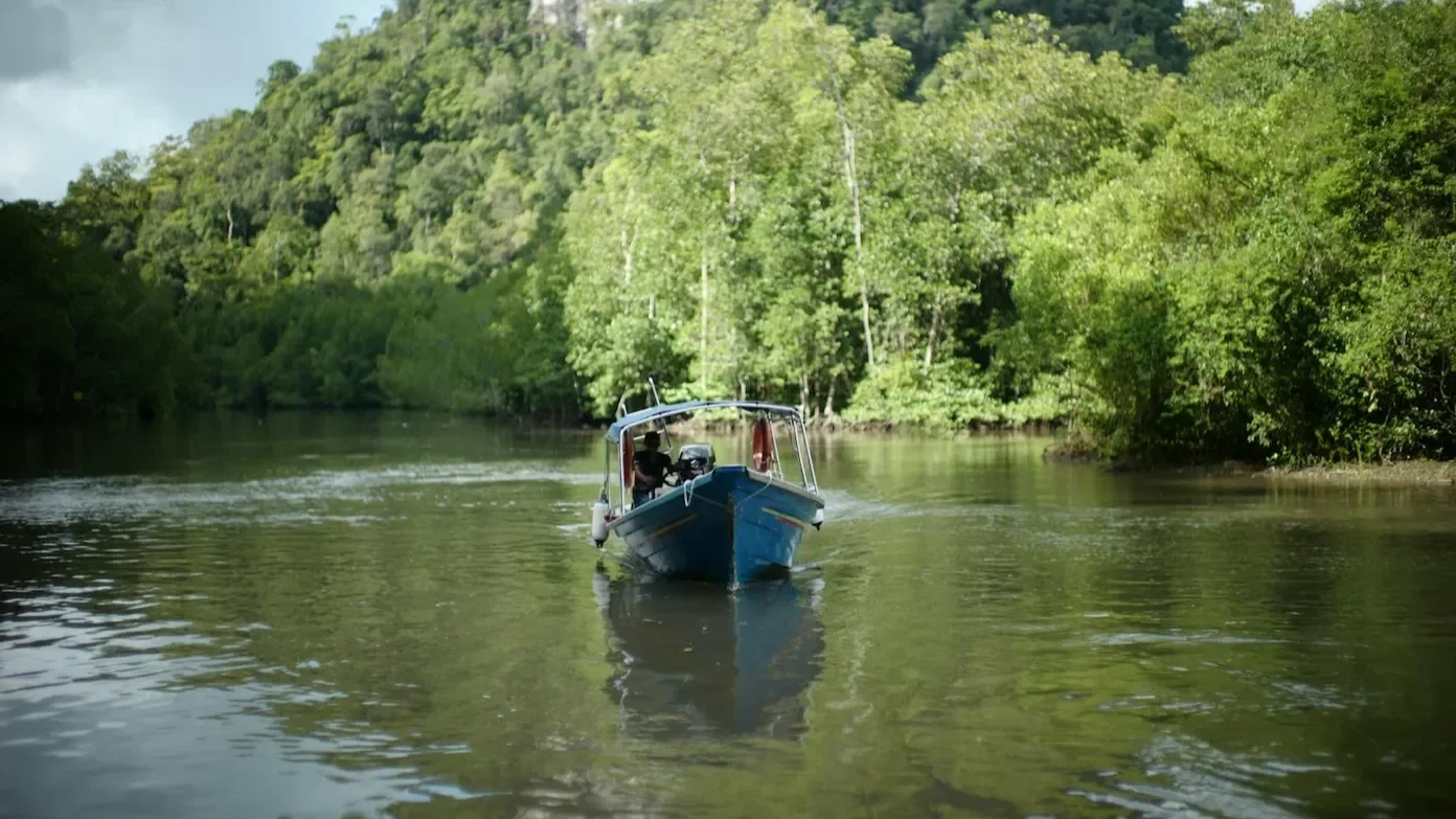 Small blue longtail boat carrying passengers down a calm river surrounded by lush green mangrove forests and jungle hills in Langkawi, Malaysia.